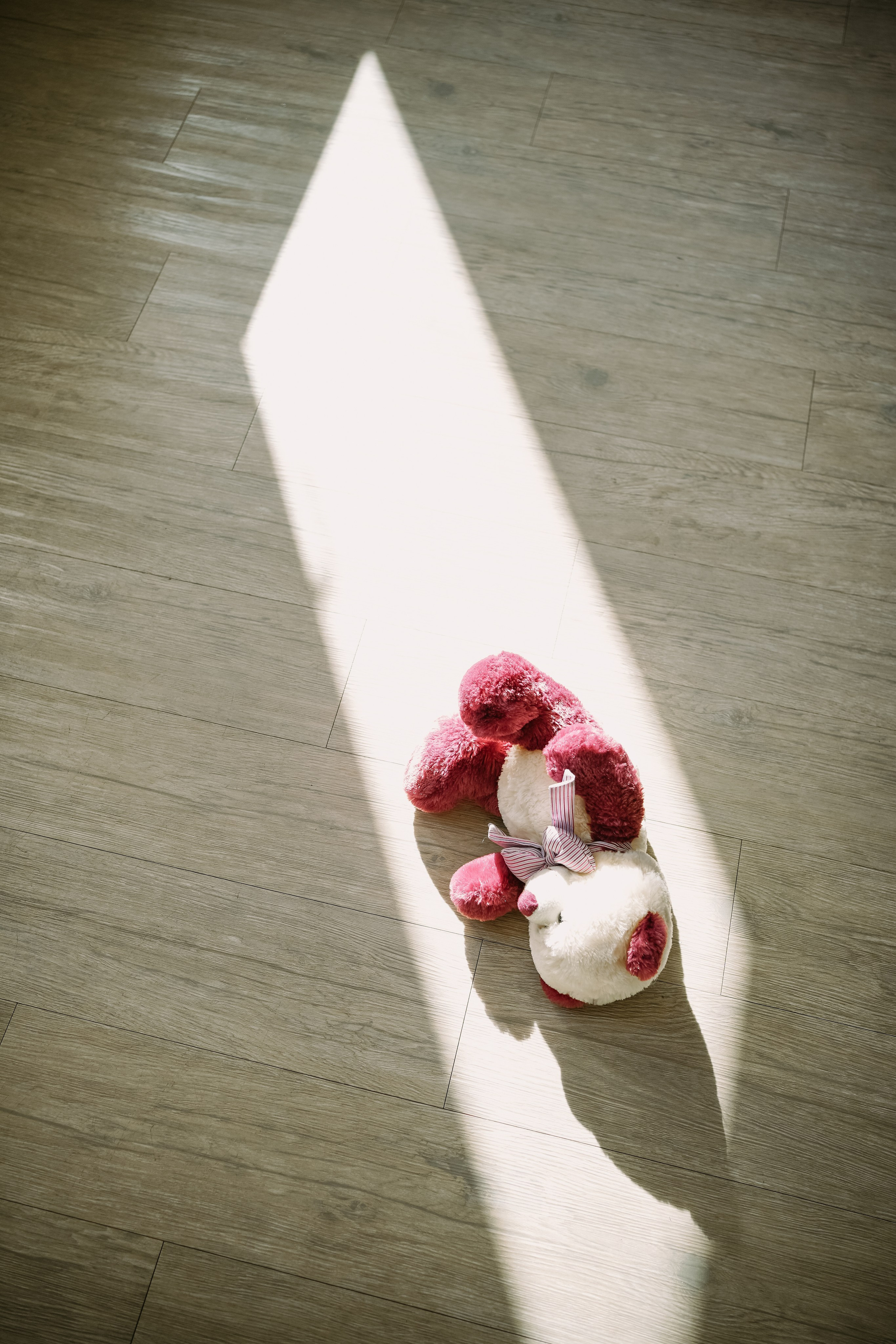 Карина, Андрей, Эмили. Главная