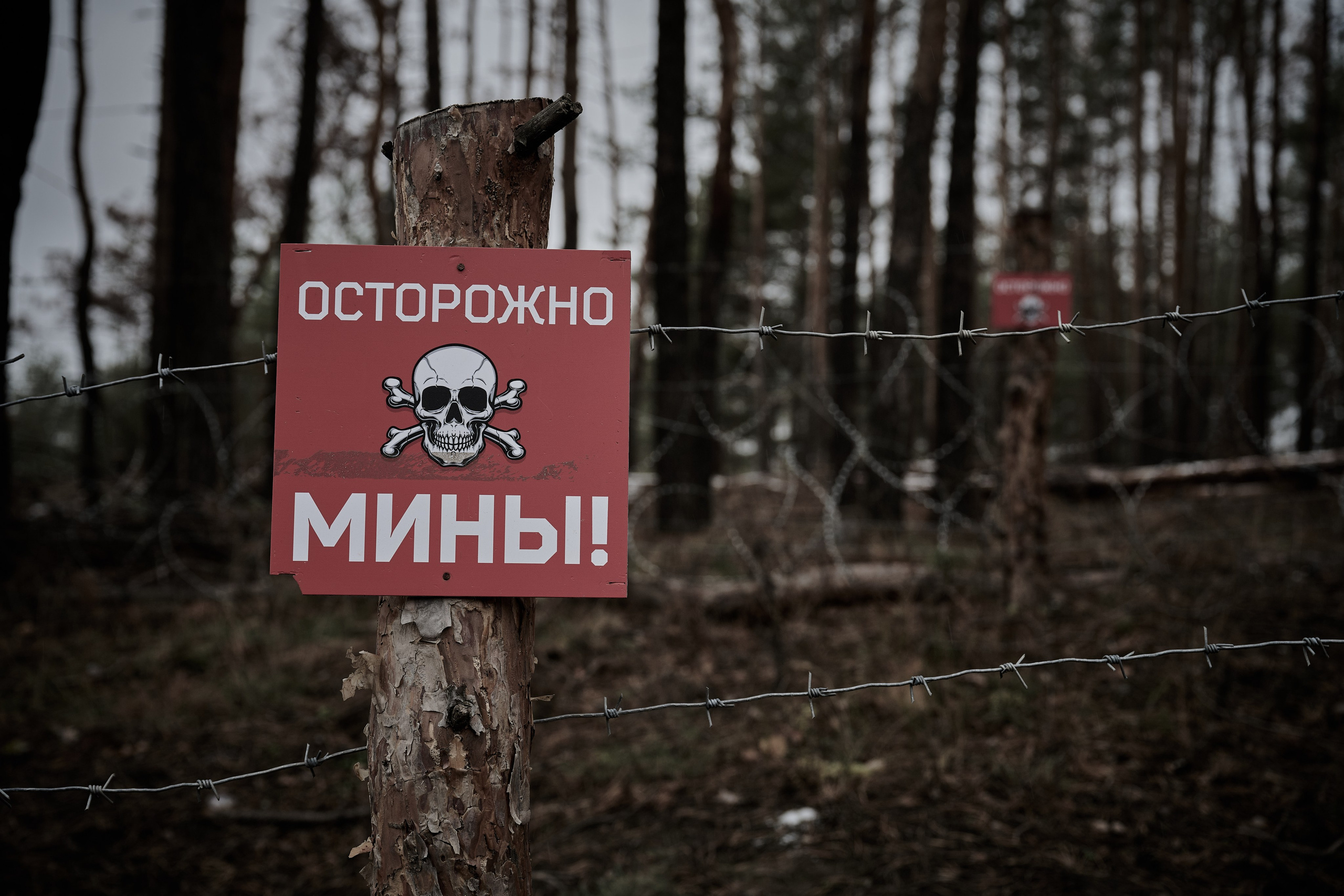 Съемки для фотопроекта Территории. Фотограф Роман Адлер