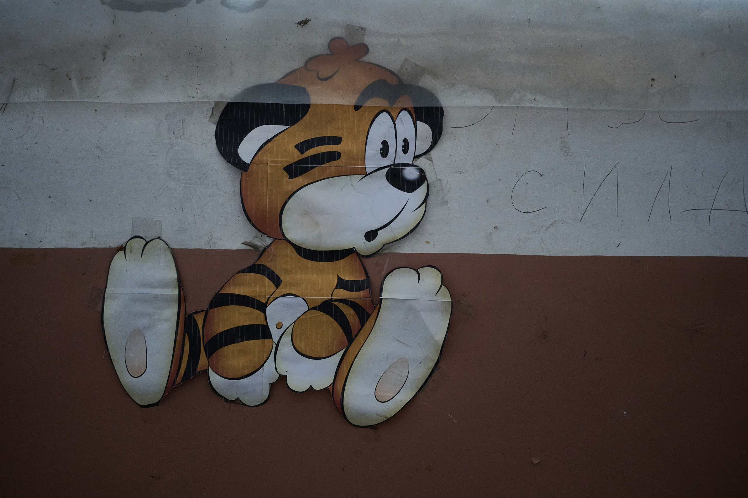 Краснореченское (Луганская область). Ноябрь 2024. Фотограф Роман Адлер