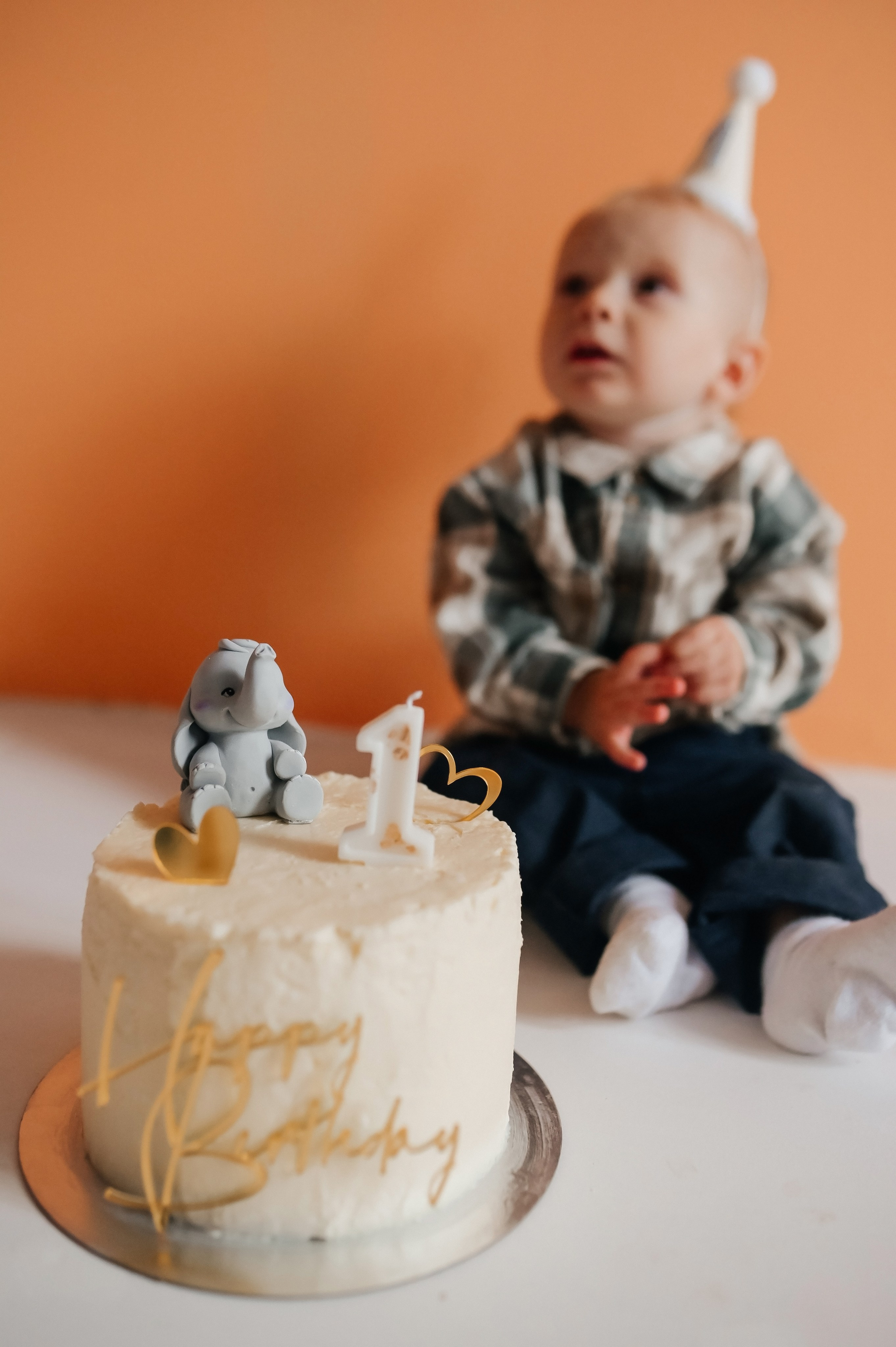 День Рождения Тимофея. Семейный фотограф Олеся Батурина Рязань