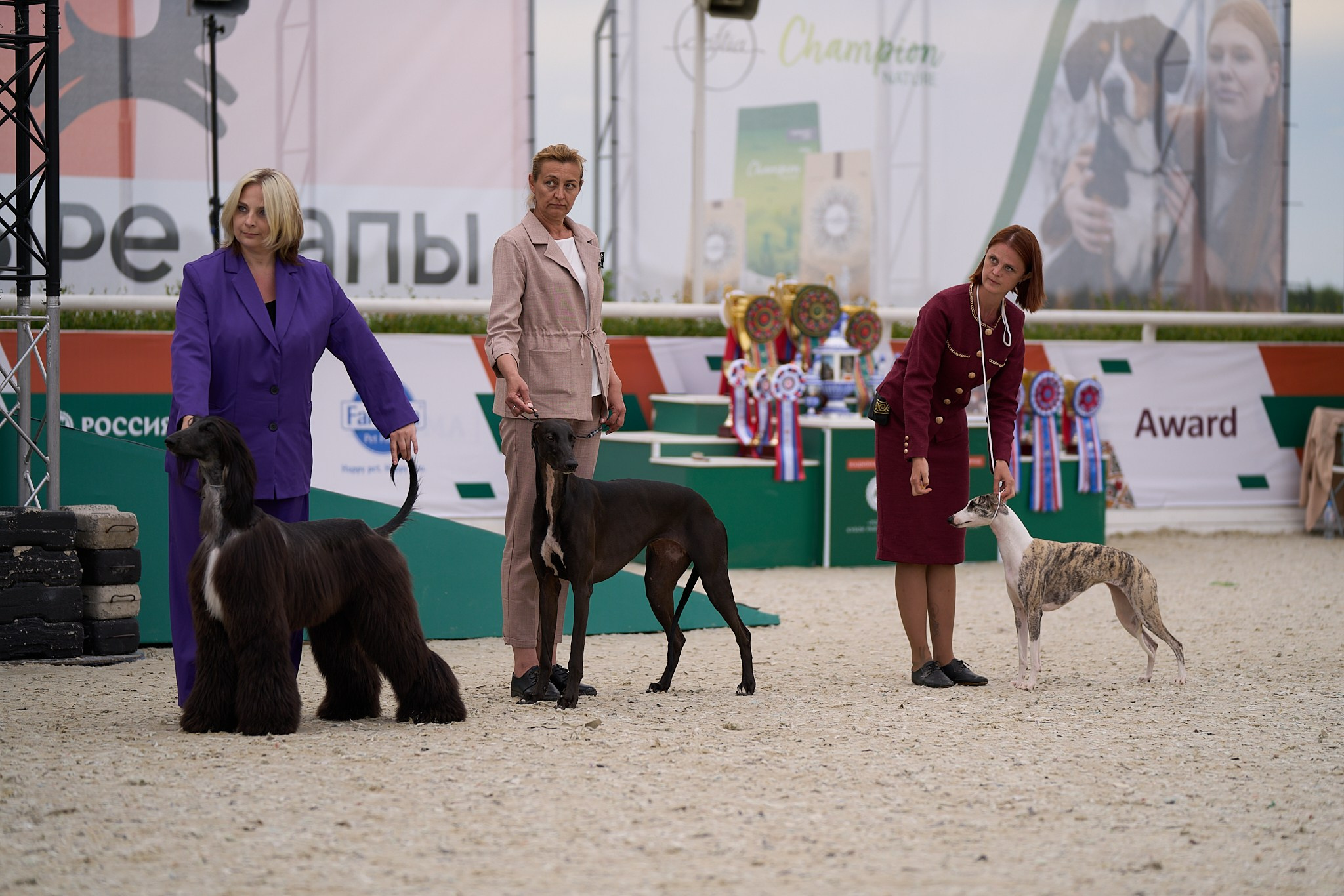 09.06.2024, «РОССИЯ. КУБОК МОСКВЫ 2024 & КУБОК ГОРОДОВ-ГЕРОЕВ»