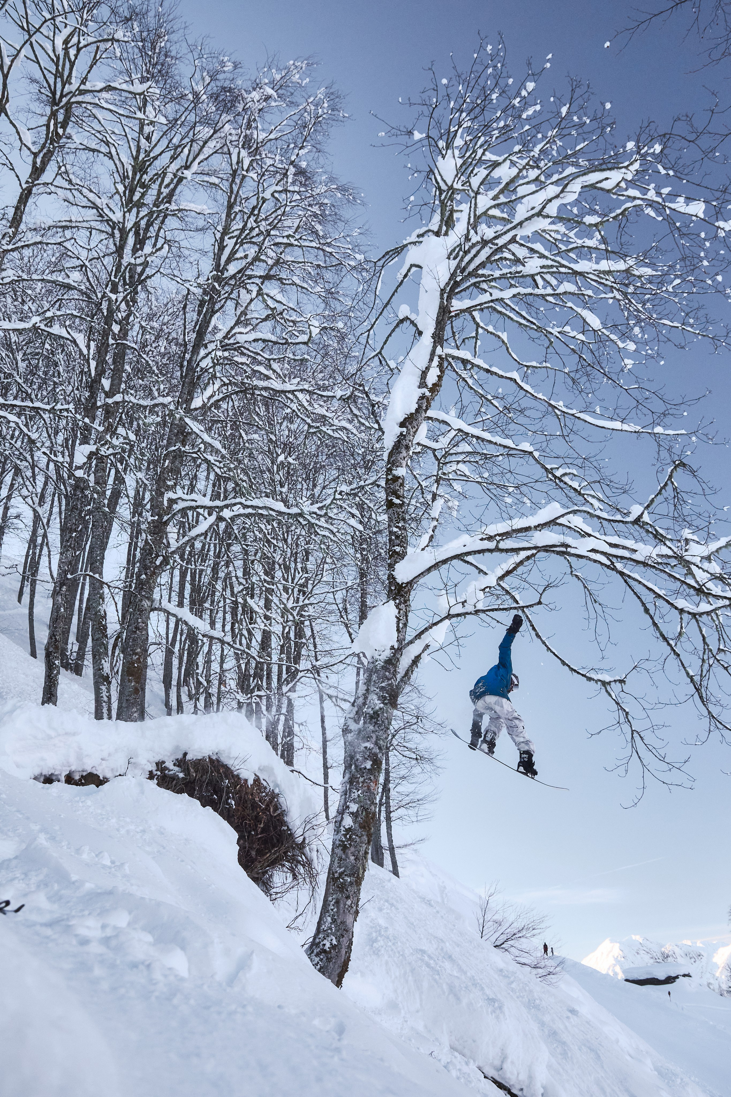 БЭККАНТРИ SNOWBOARDS