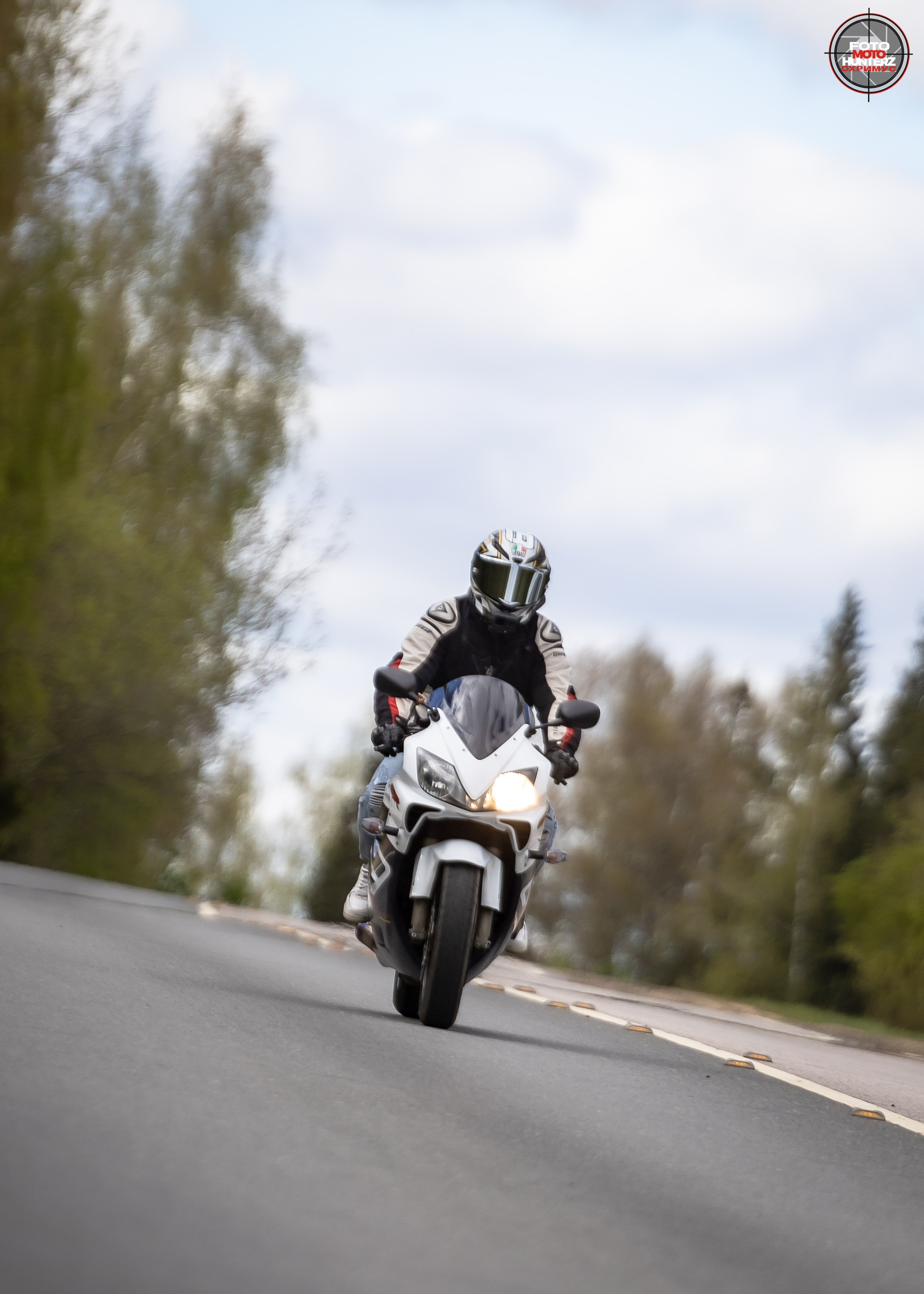 Первое Сафари в 2025 г. на Рогачевском ш. Фотограф Владимир Охрименко