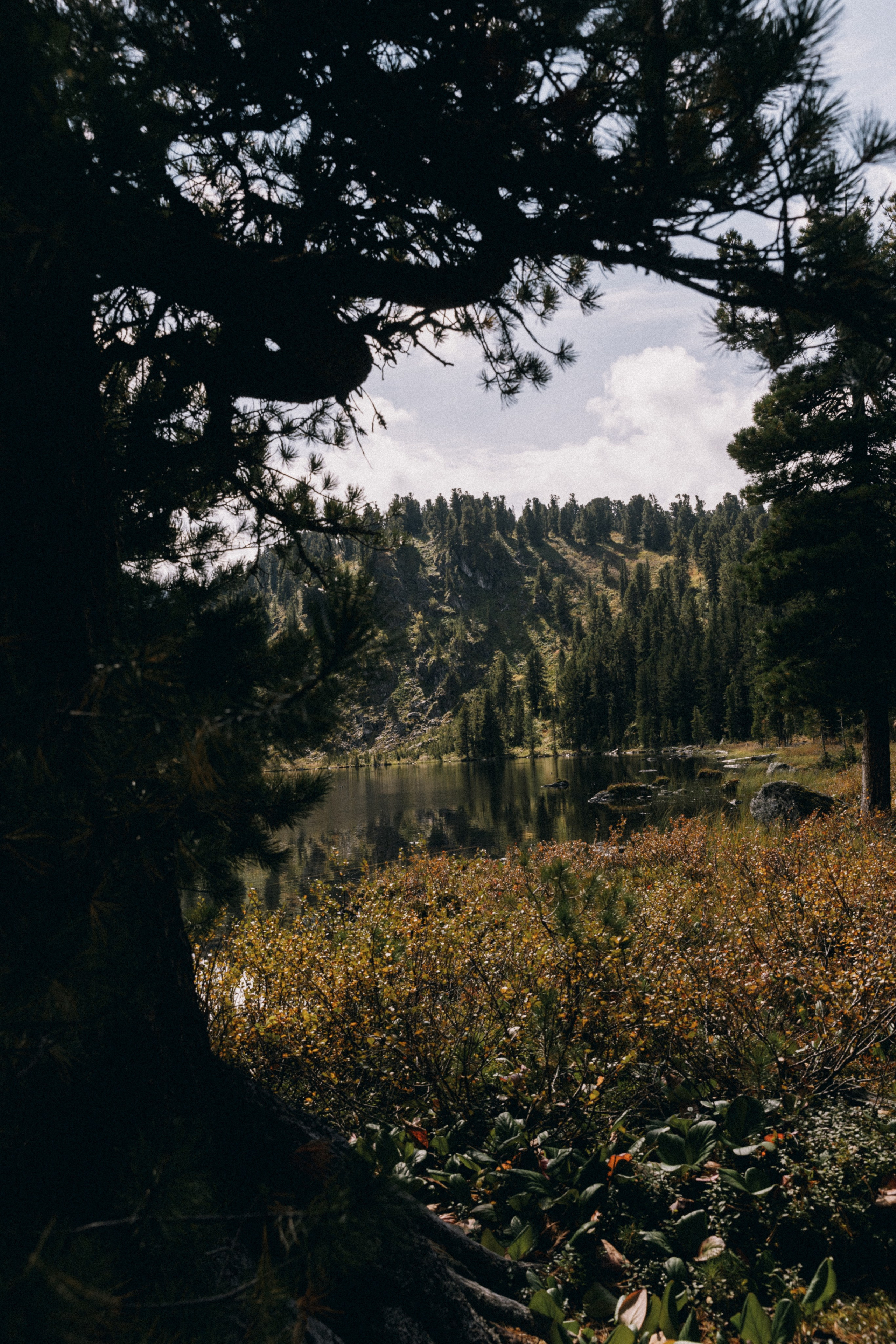 Алтай, природа и эстетика. Александр Чернин. Семейный и событийный фотограф