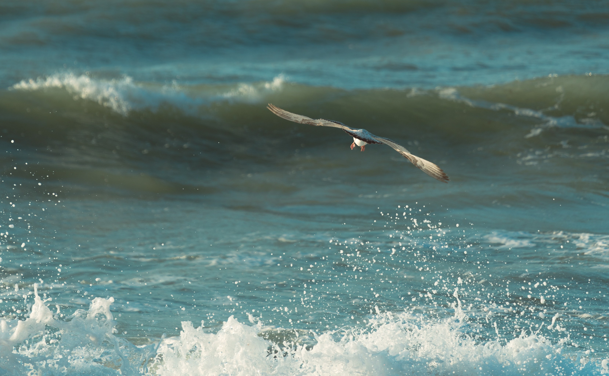 Актау, Ноябрь 2024