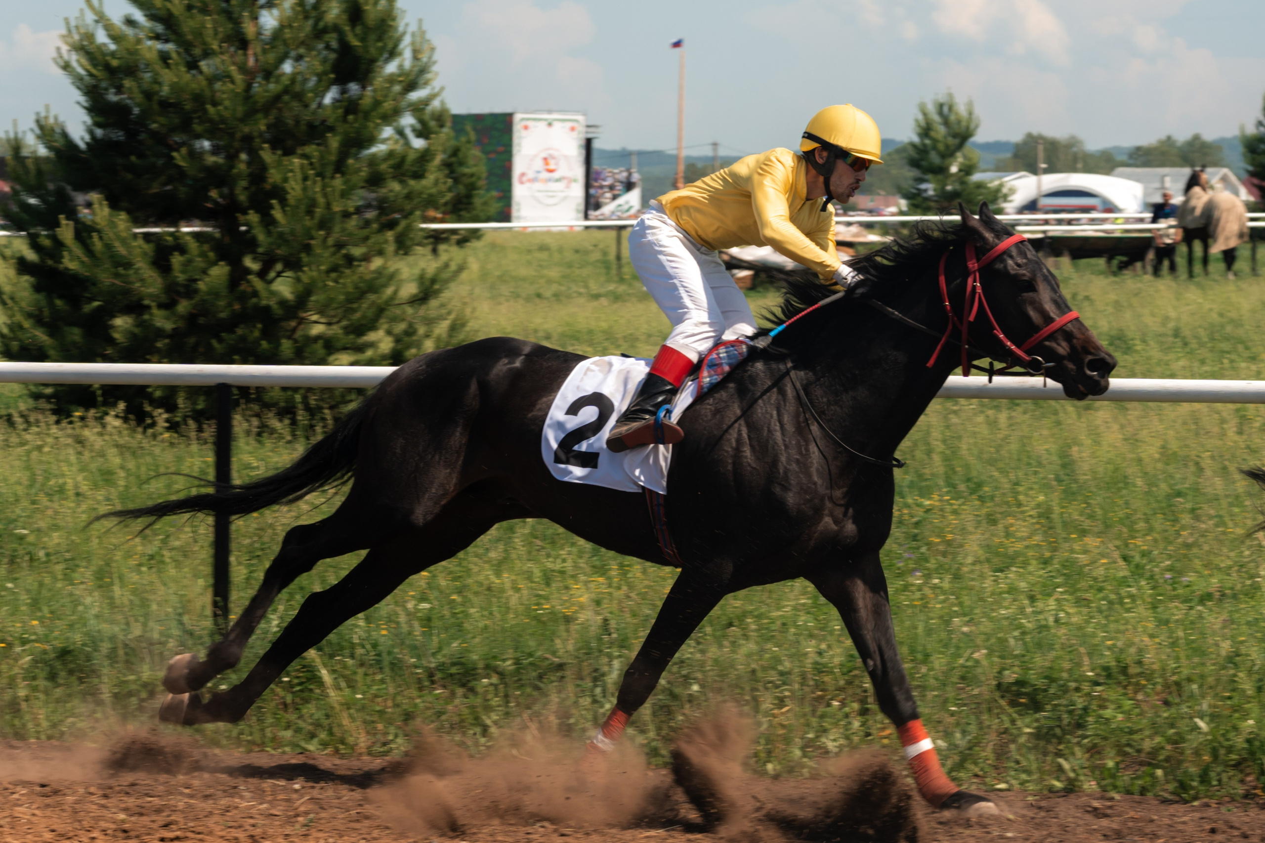 Фотографии с Всероссийских соревнований по көрәш