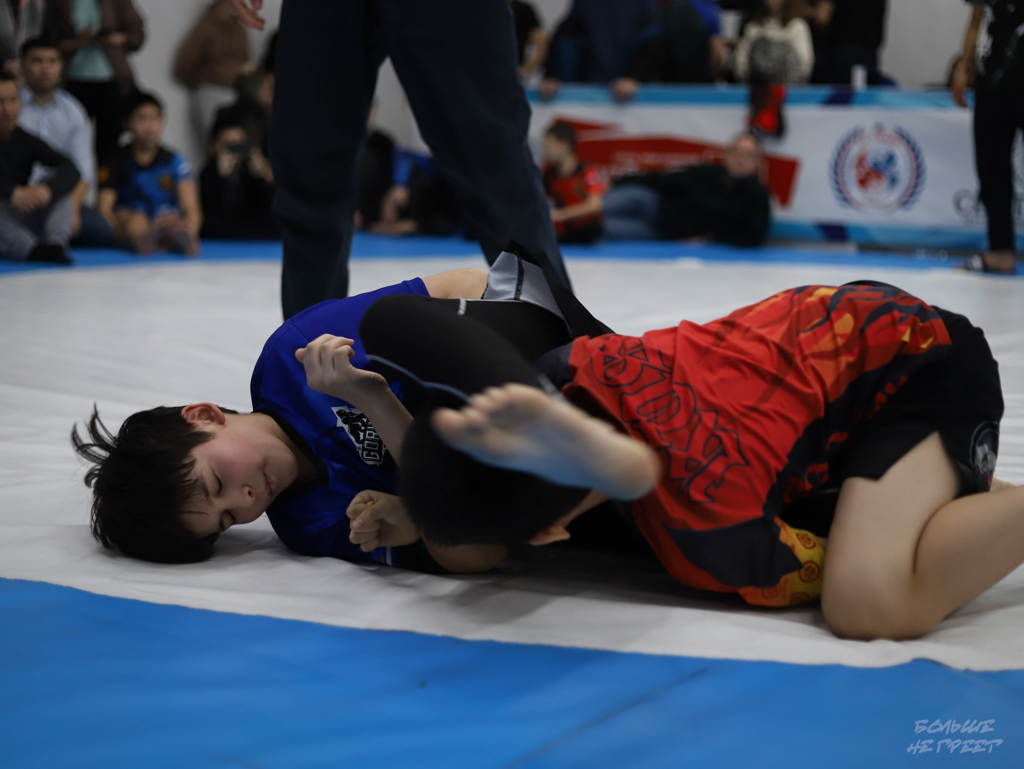 GORILLA PRIDE CUP. Больше не греет