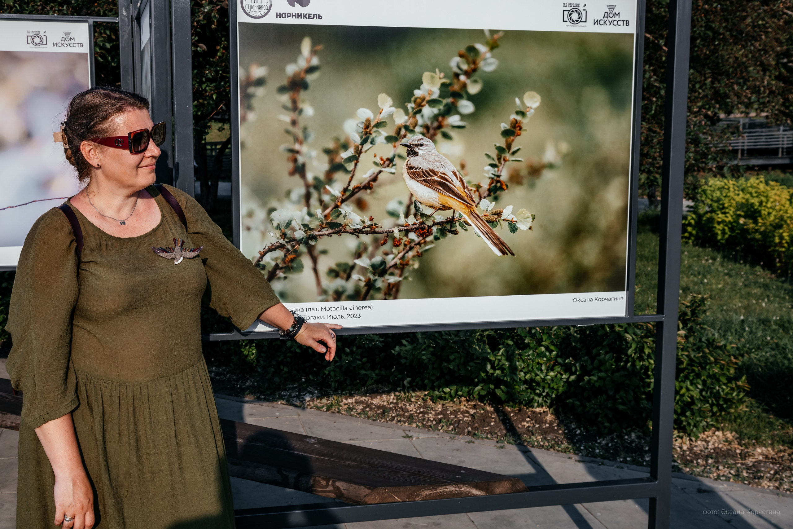 Выставка «Птицы Сибири». Фотограф в Красноярске Оксана Корчагина