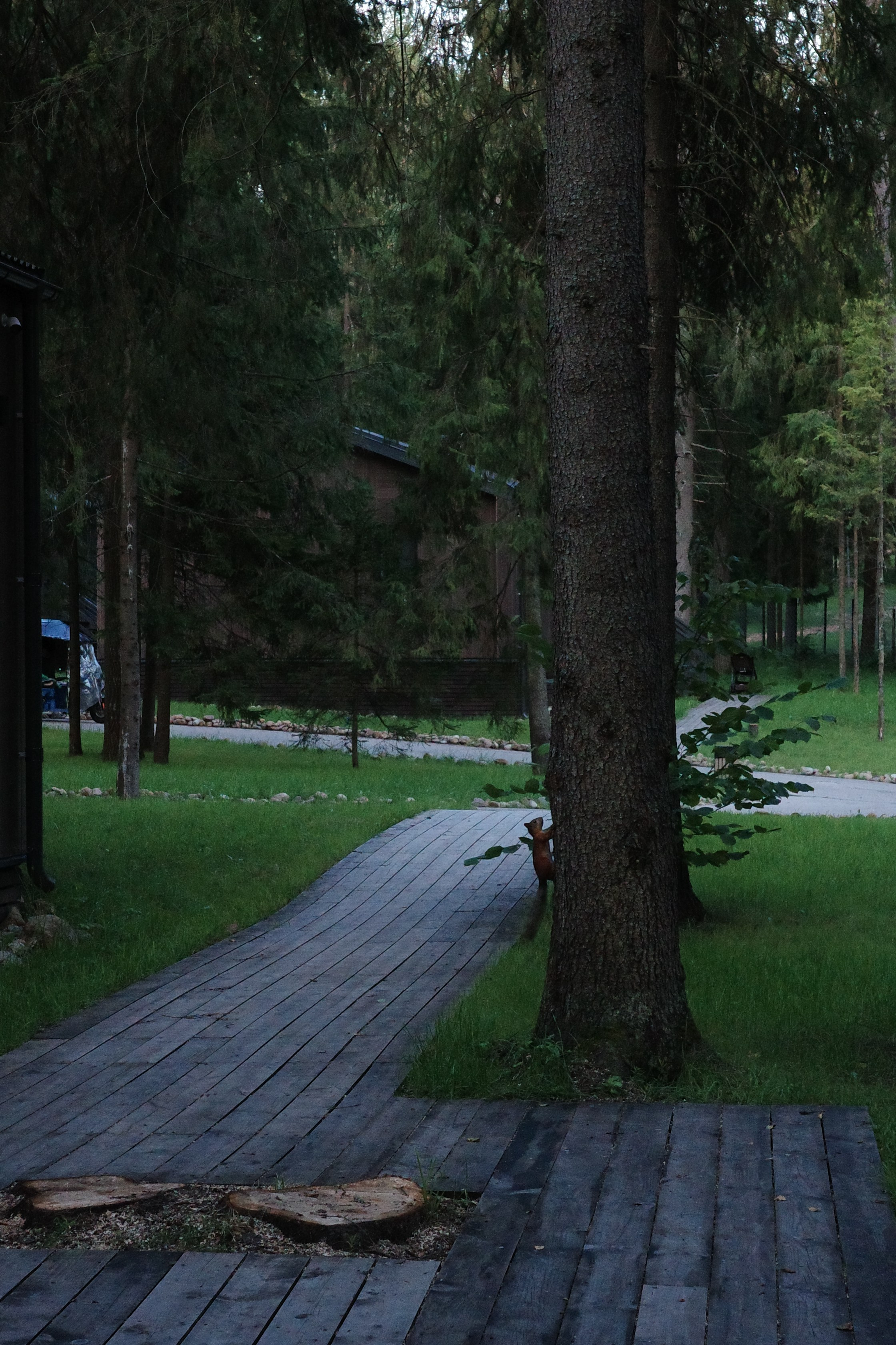 #41: Пересвет / август 2025. Проект «Фотокладовка»: блог уличной фотографии в формате street photo