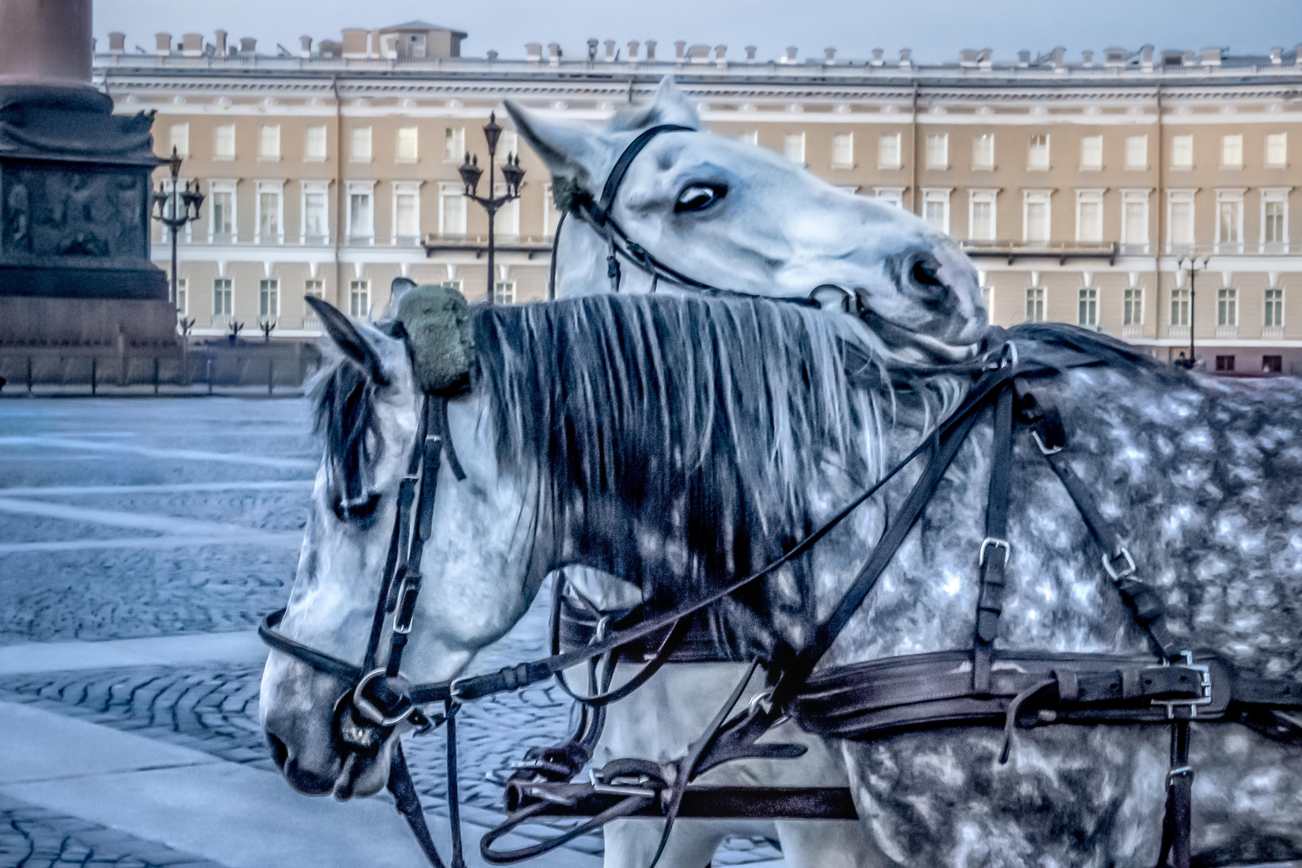 Детская и семейная фотосессия в Екатеринбурге, Светлана Корнелюк