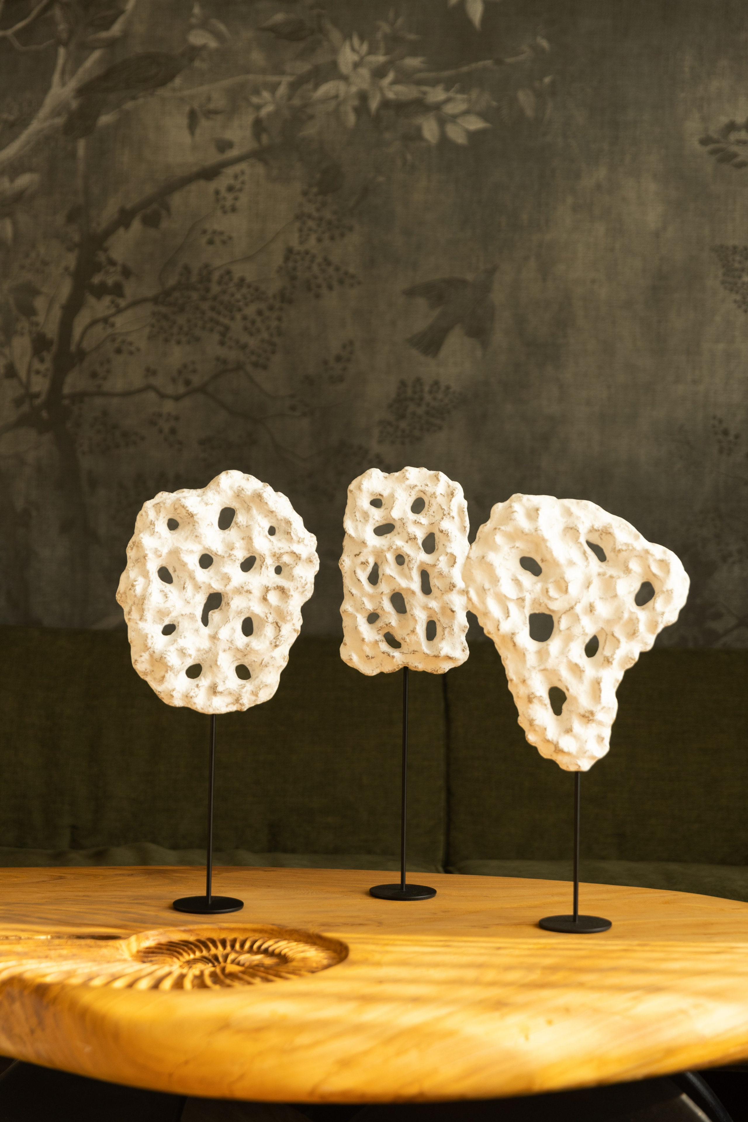 Kseniya Torgashina Designer. Фотограф на Юге России