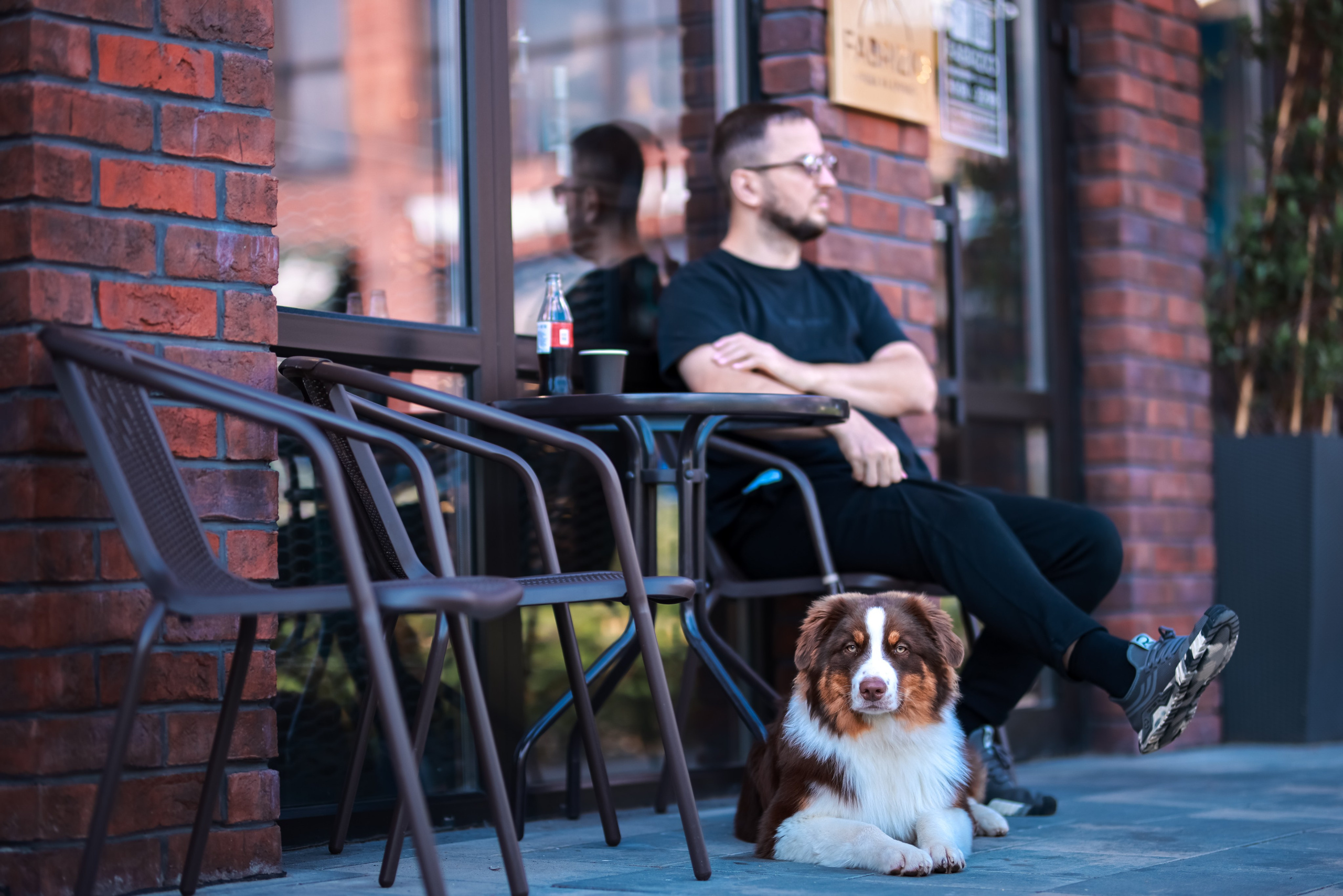 Прогулка с собакой. Фотограф репортажей и стритфотосессий в Москве Людмила Смирнова