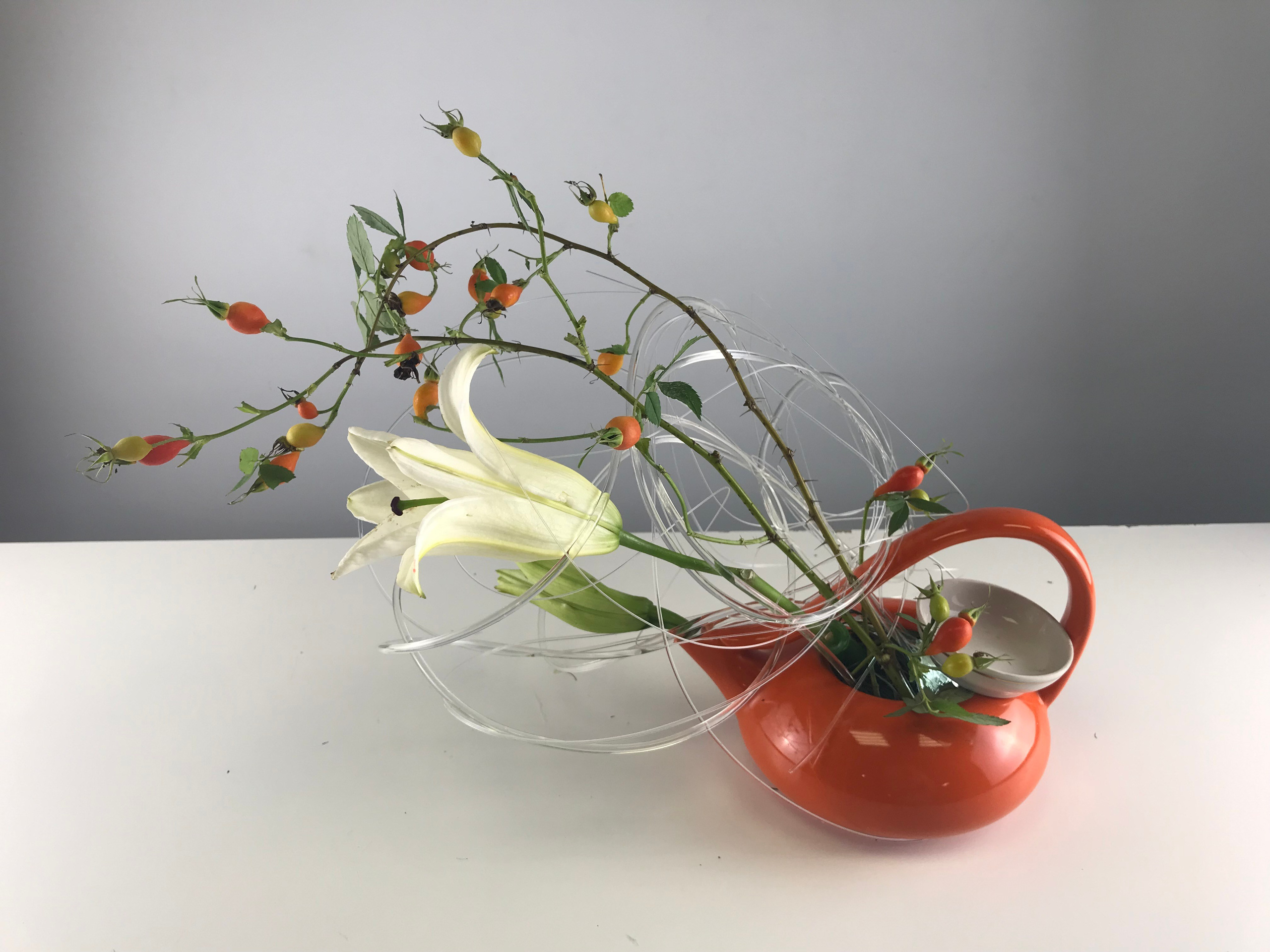 Икэбана Барне. Фотограф Анна Барне