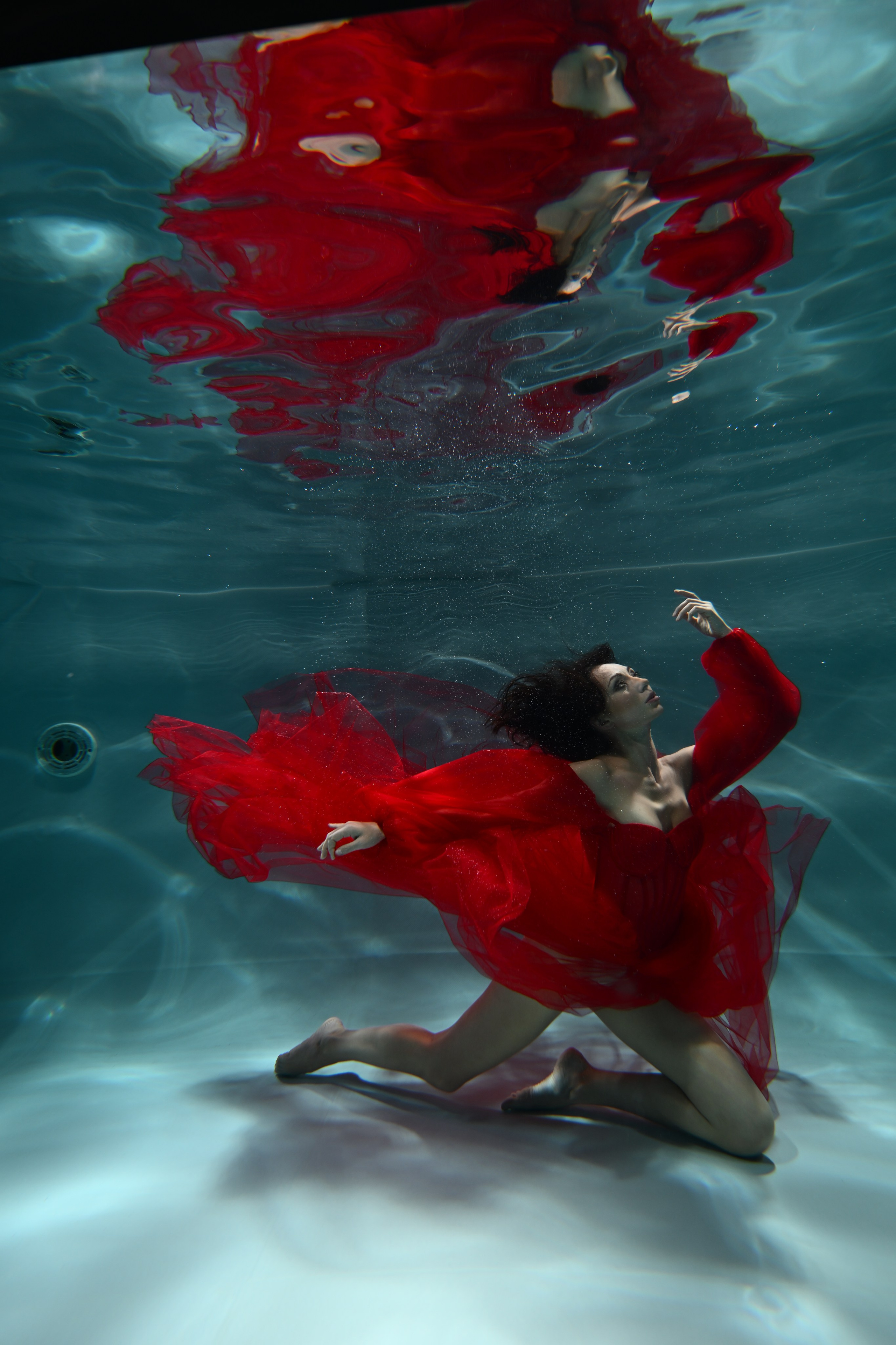 Аква студия НЕМО. Фотограф в Санкт-Петербурге Сафронов Николай