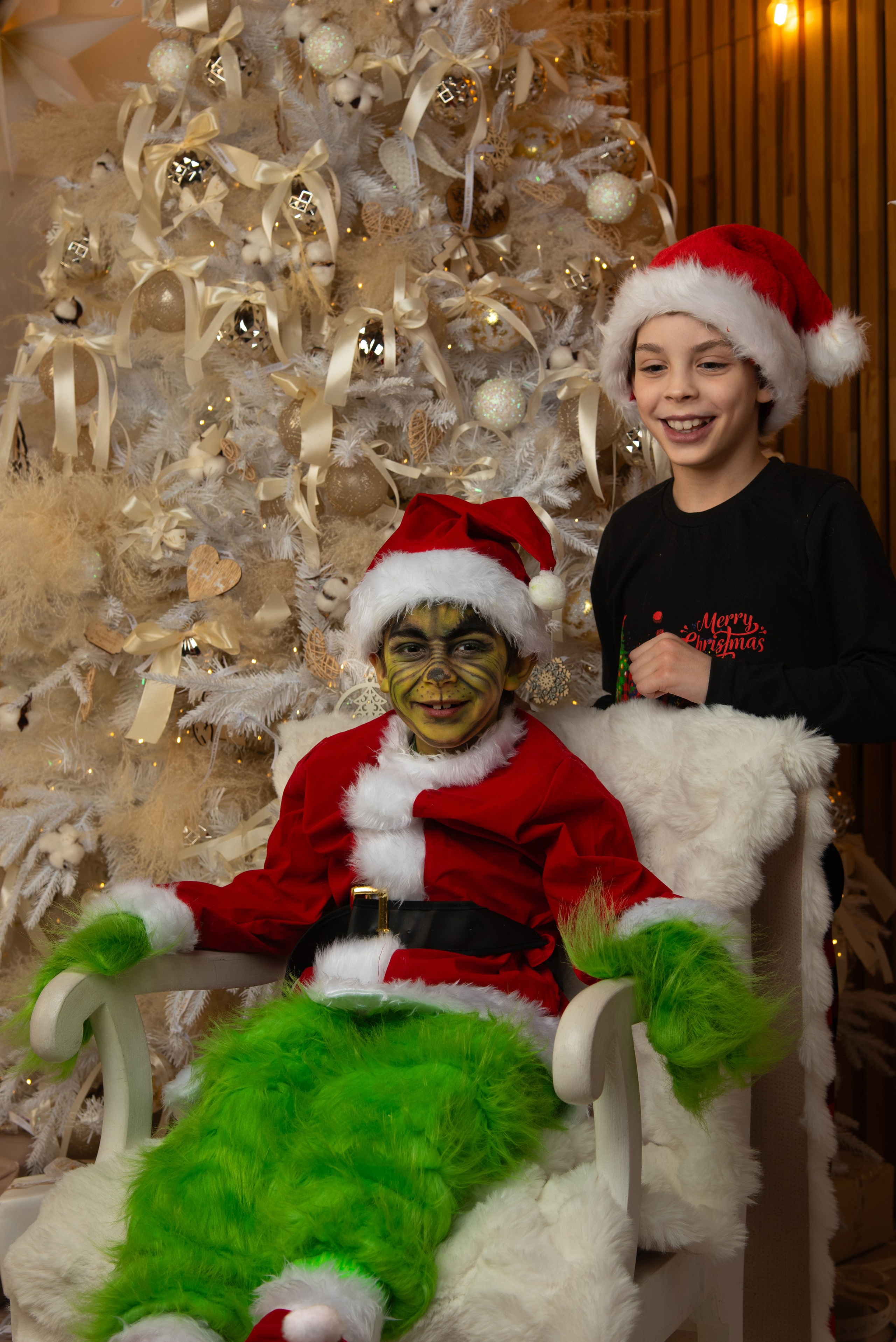 Новый Год. Гринч. Портретный Семейный Fine-Art фотограф в Санкт-Петербурге Криулина