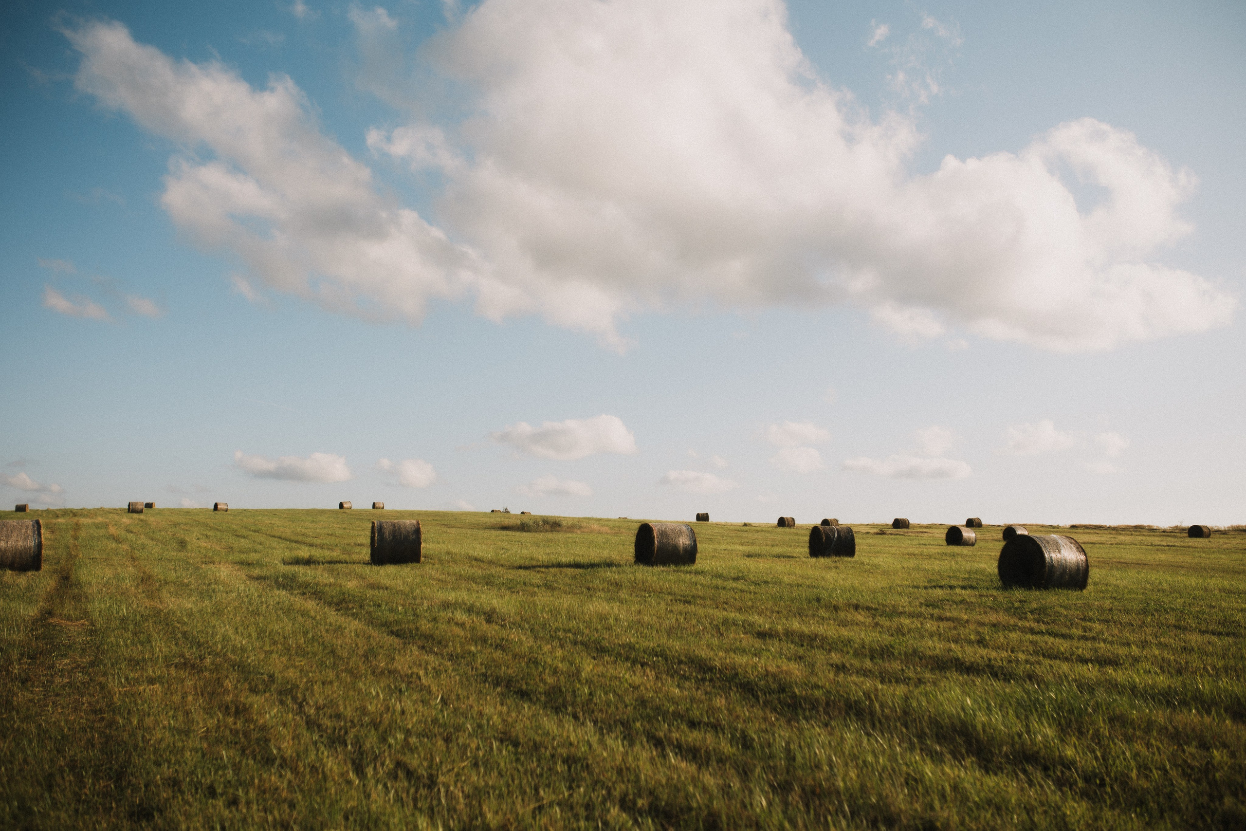 Kseniya. Свадебный и портретный фотограф в Калининграде и Москве Марк Юдинцев