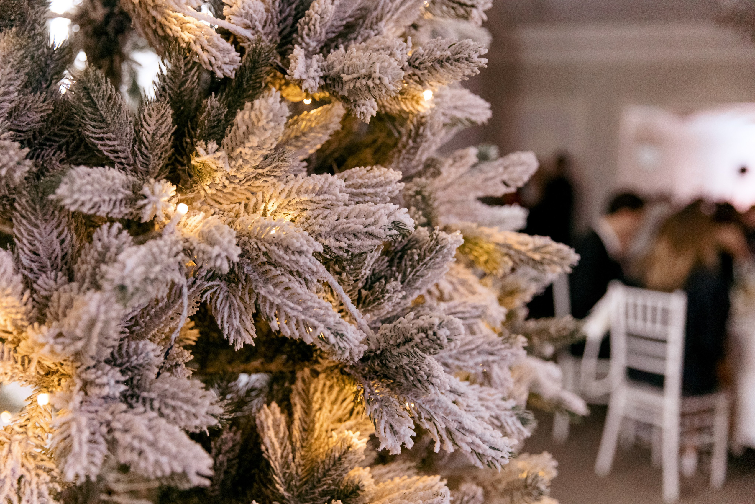 Корпоратив 2026. Свадебный и портретный фотограф — Мария Костина