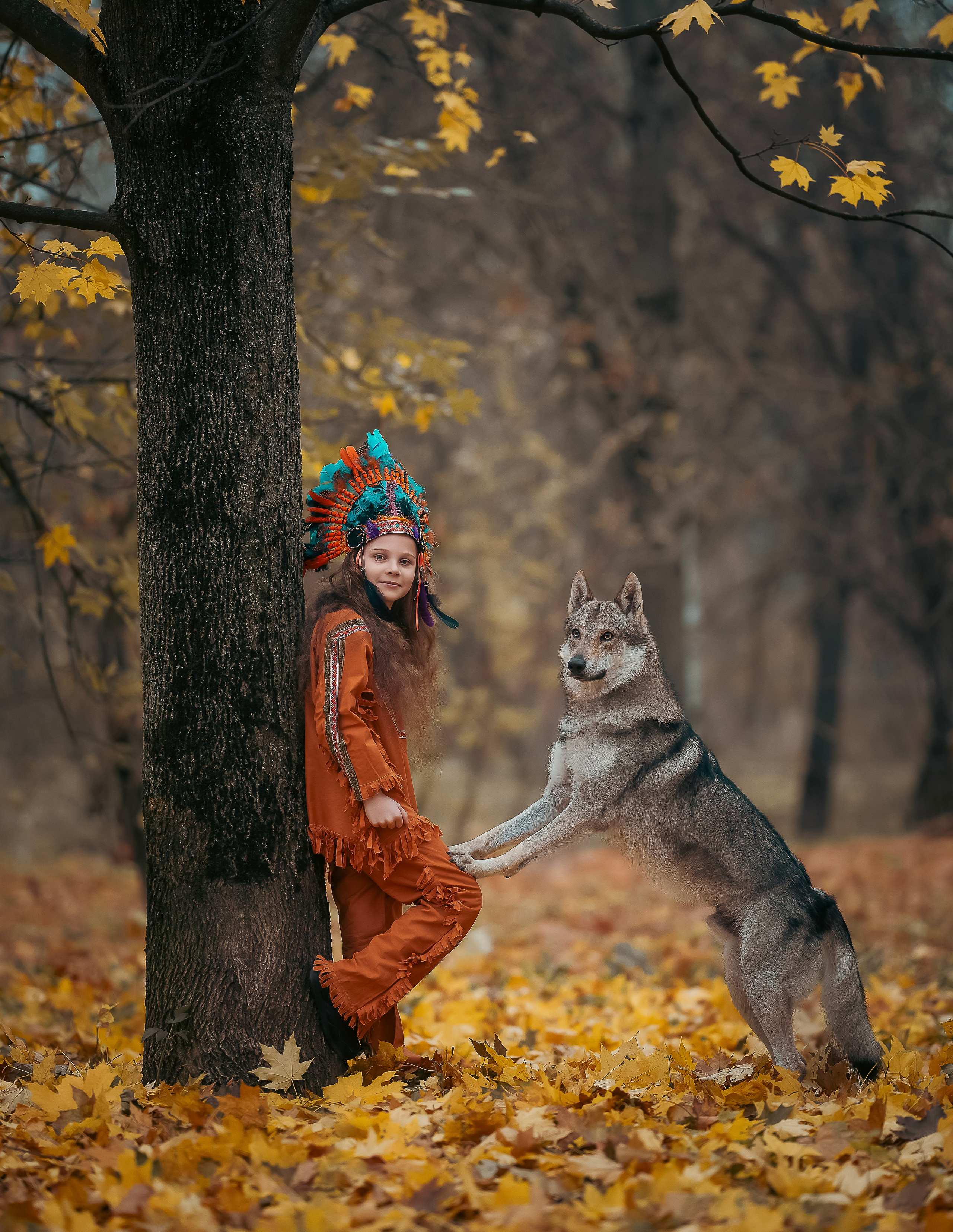 Волки. Профессиональный фотограф в Москве Марина Григорьева