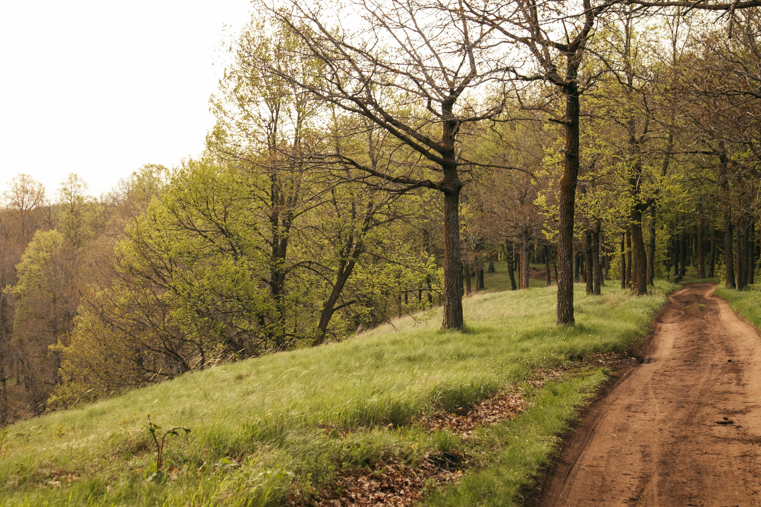 Сокольская гора. Фотограф и видеограф в Бугульме Аня Трутнева