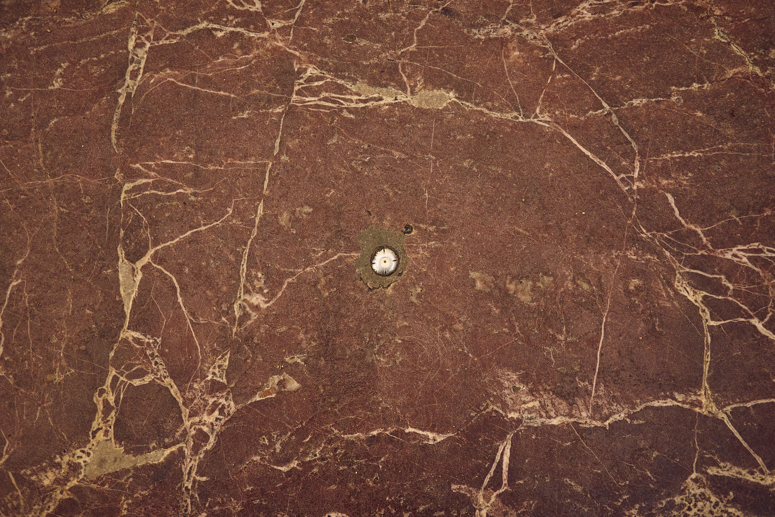 Saint Isaac's Cathedral | St. Petersburg