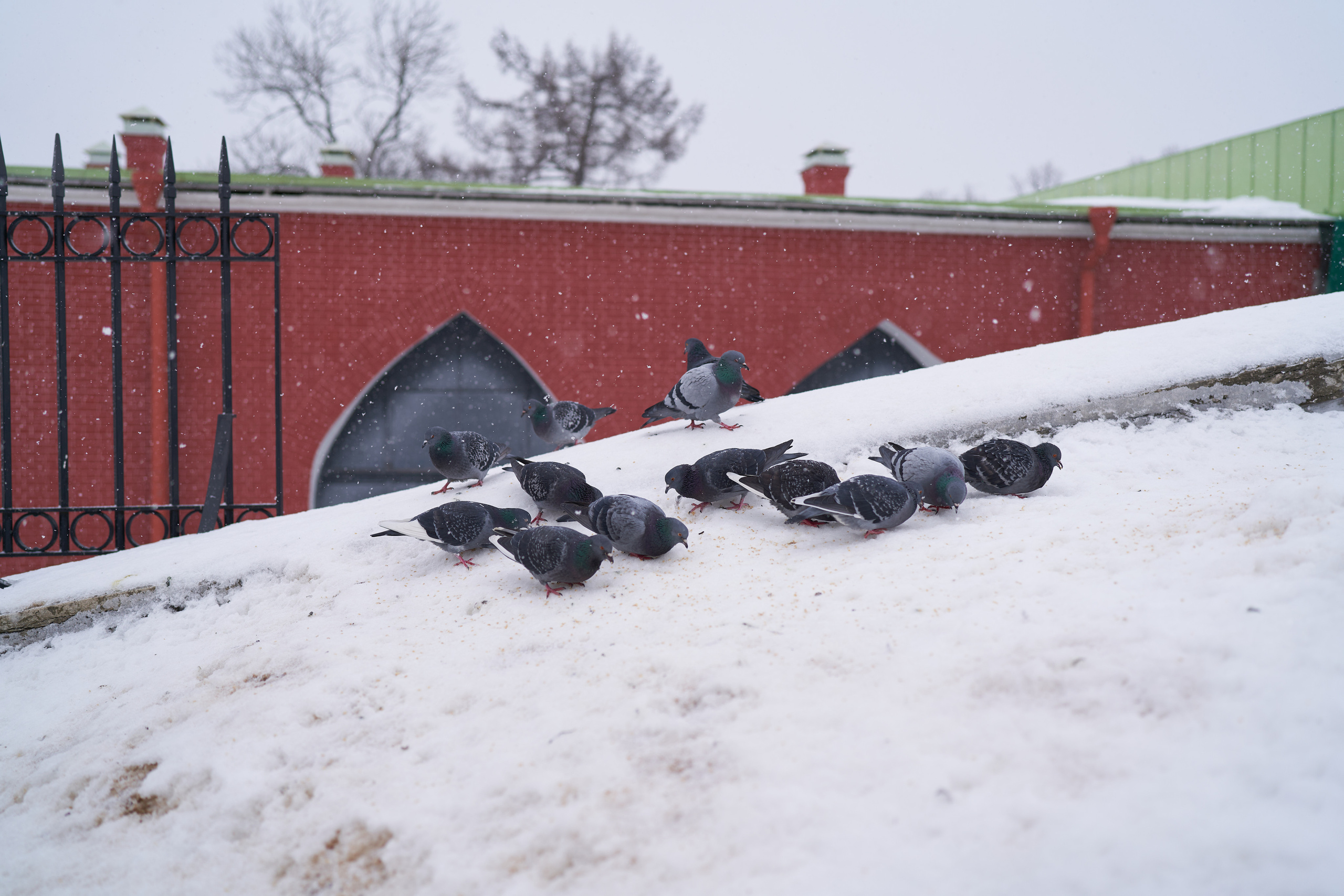 Петропавловская Крепость