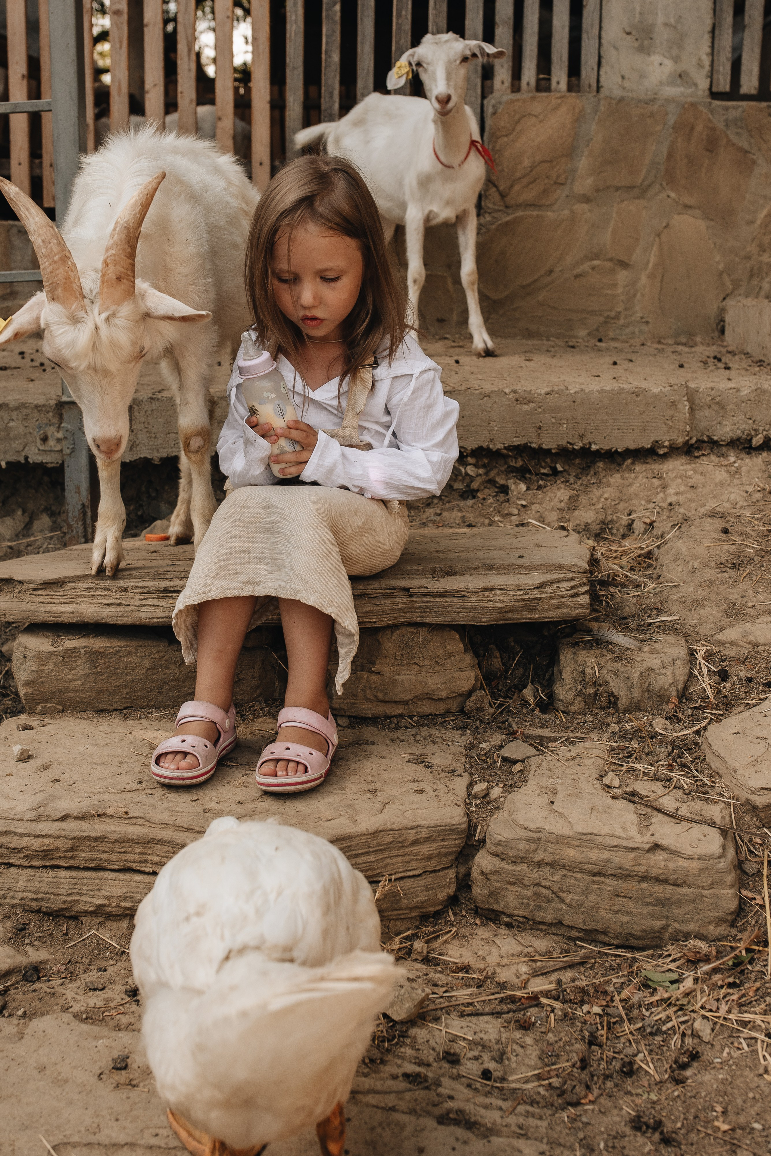 На ферме. Семейная фотосессия в Новосибирске от фотографа Ольги Коваль