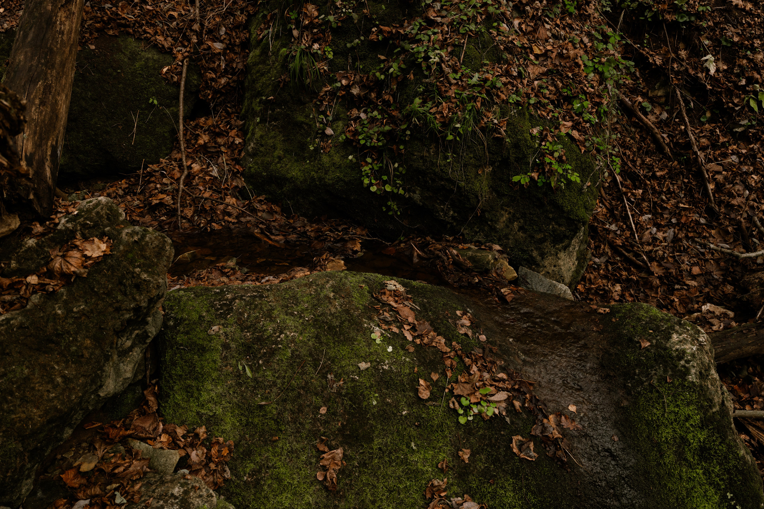 Кольцовские пещеры. Vlad Trykov