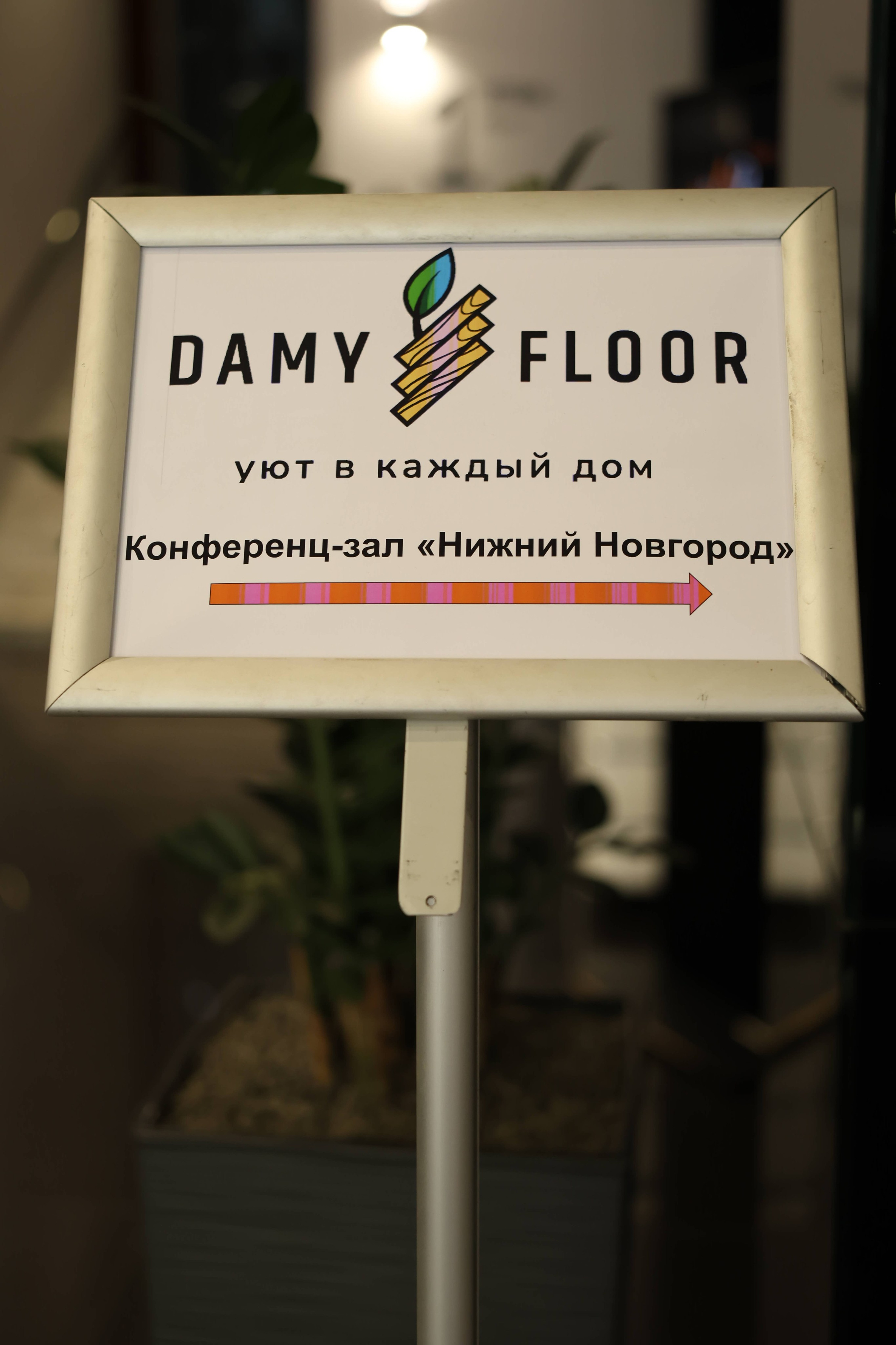 Damy Floor