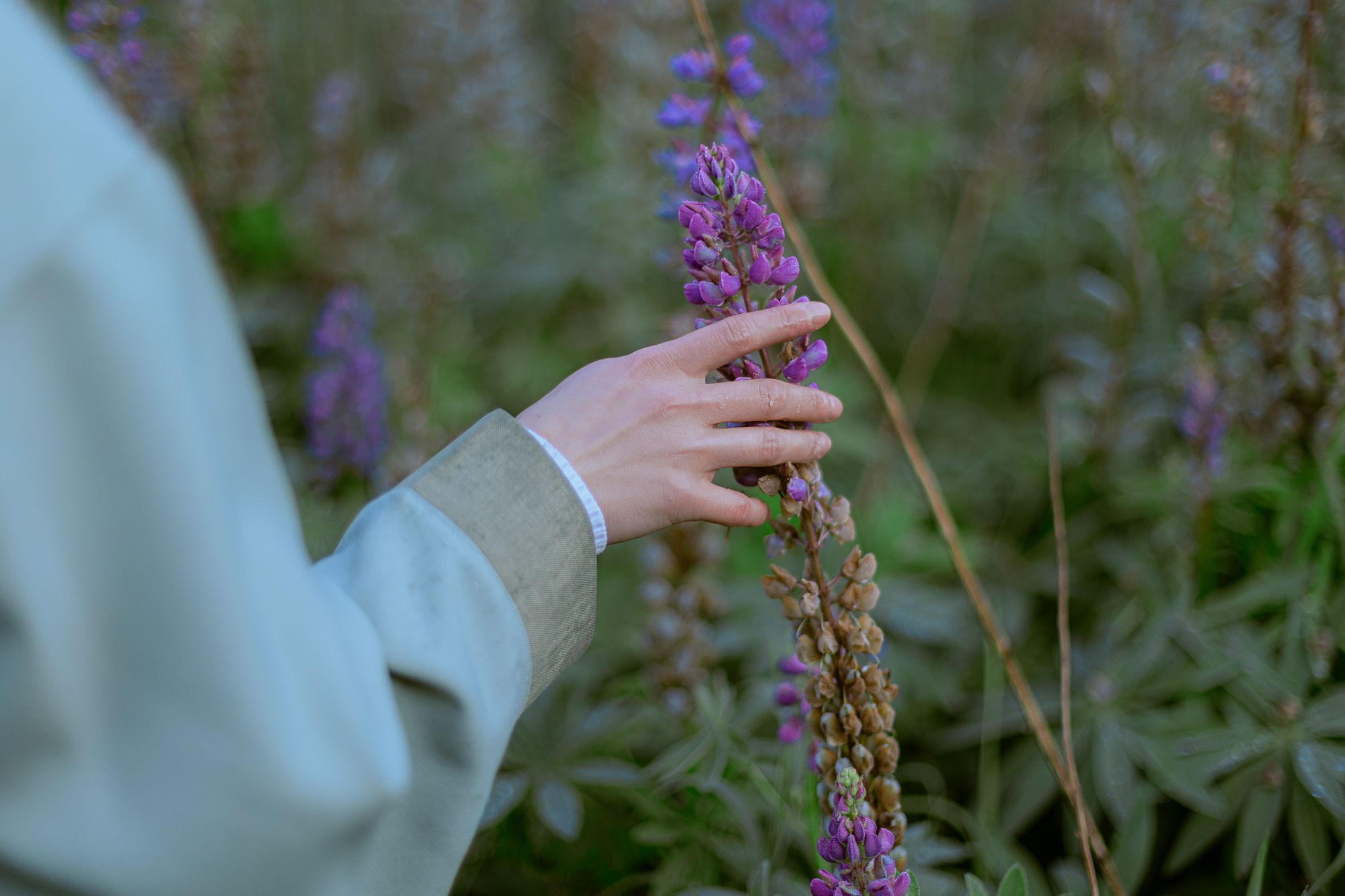 Монолог фармацевта. Репортажный фотограф видеограф в Москве Ольга Плаксина