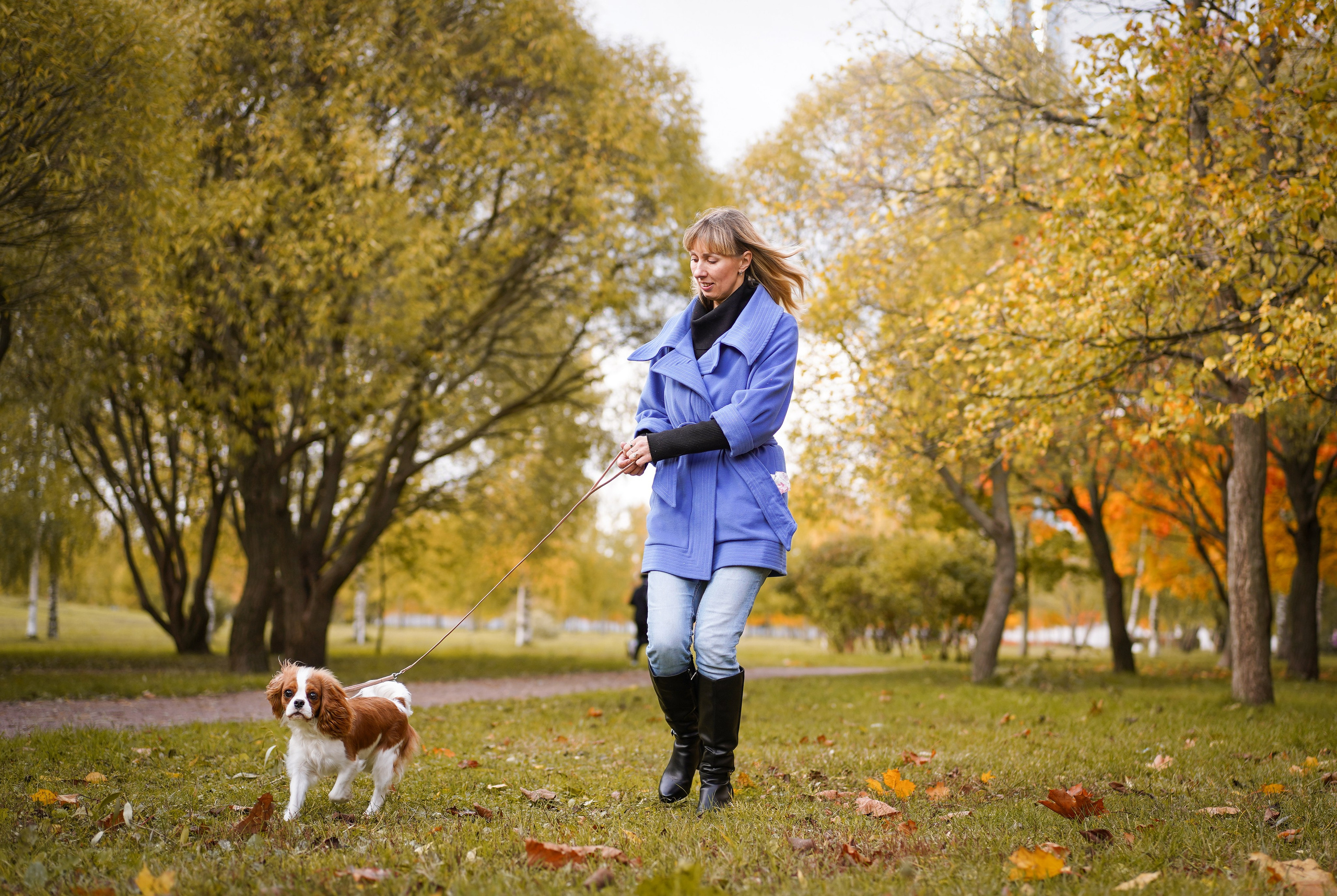 Катя Валера Саша и кавалерчики. Фотограф-анималист в Санкт-Петербурге Яна Мартынова