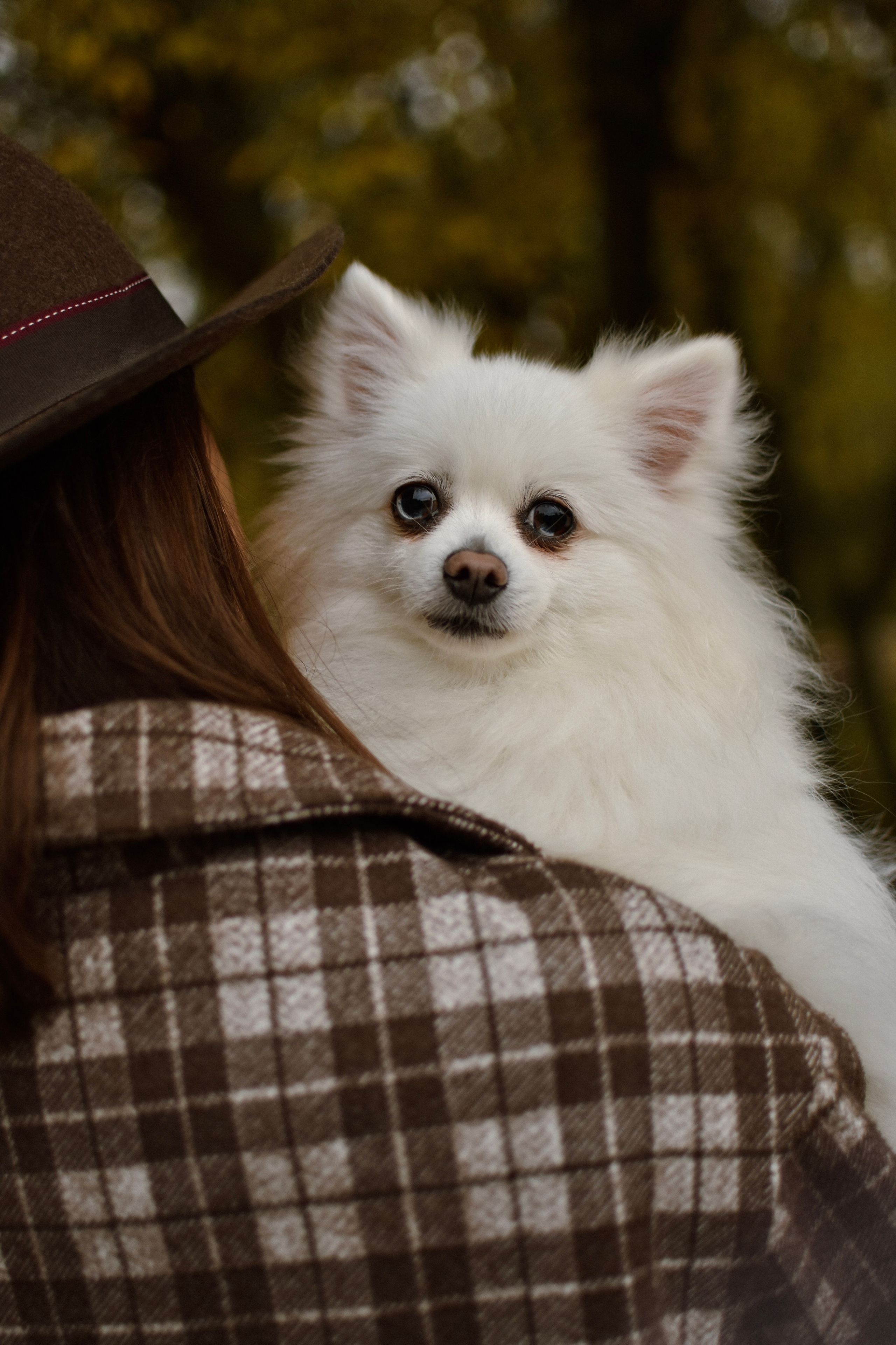 Анабель и Саша. Фотограф-анималист Ксения Шевцова|Москва