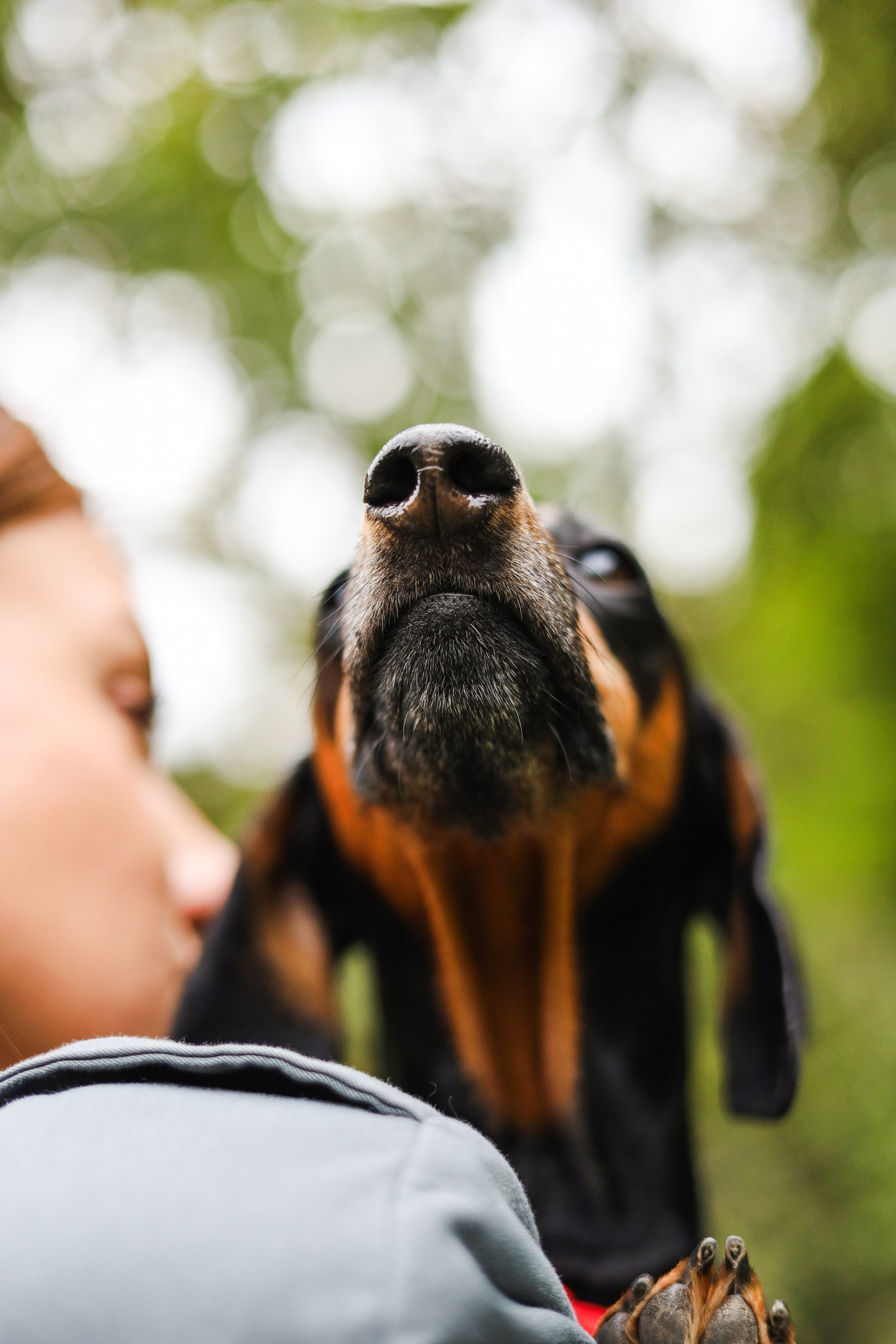 Моня и Оля. Фотограф-анималист Ксения Шевцова|Москва