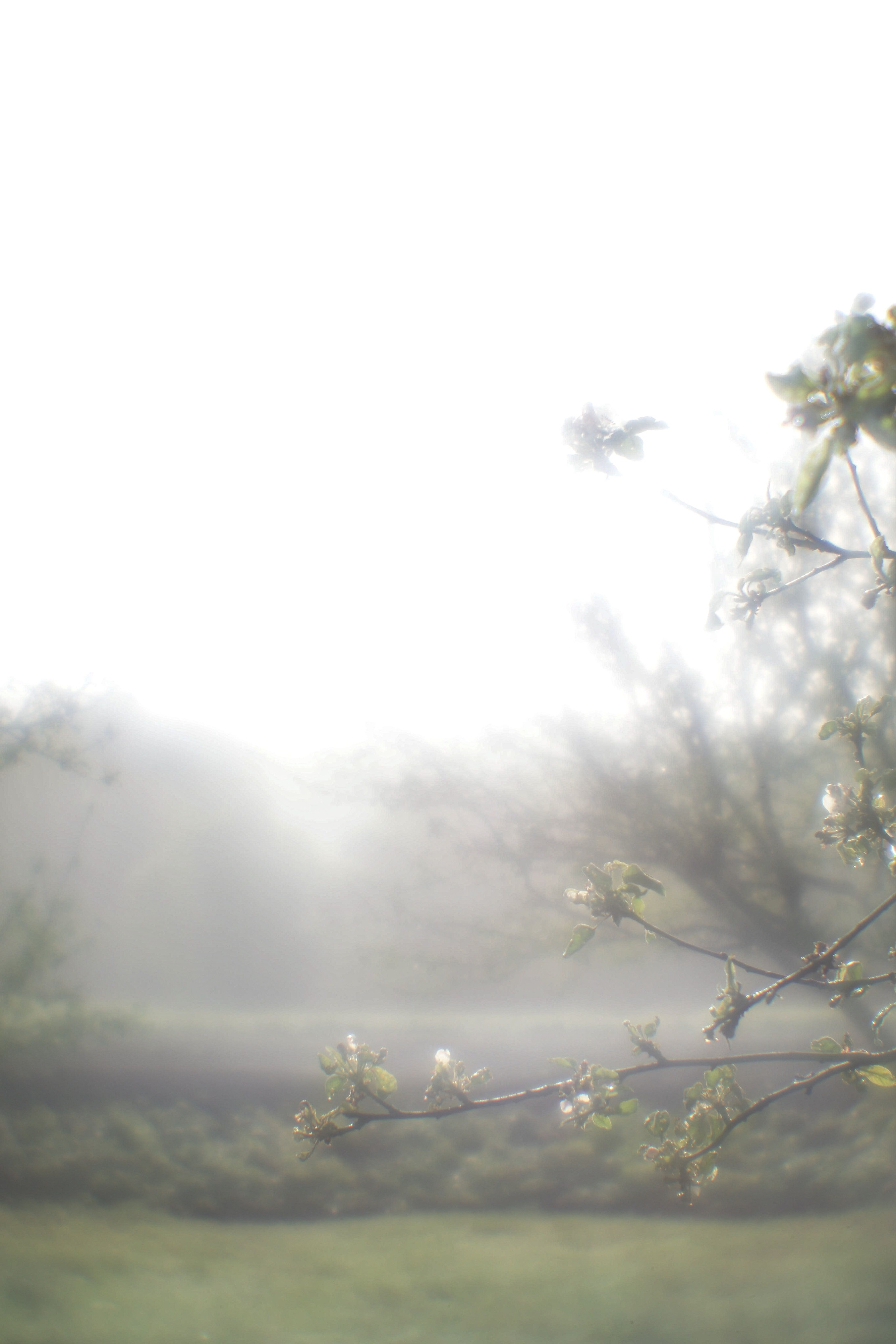 Поэзия повседневности. Семейный фотограф в Москве Марина Аргунова