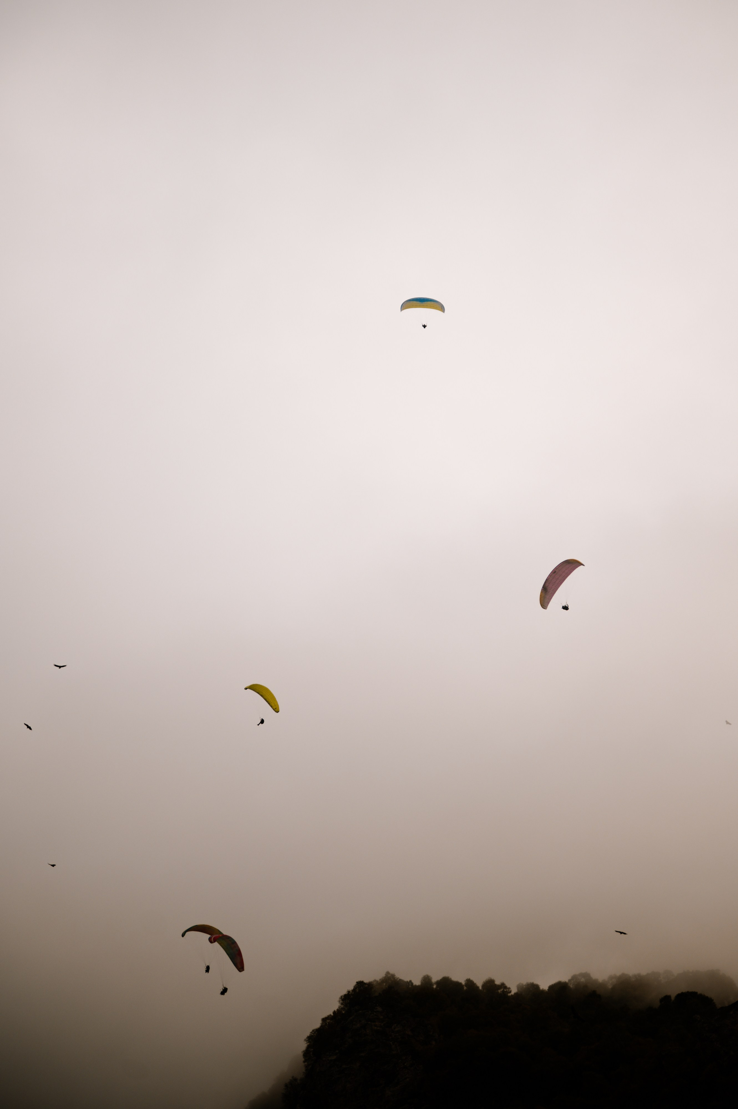 Выездные проекты. Сайт фотографа Данилы Пащенко