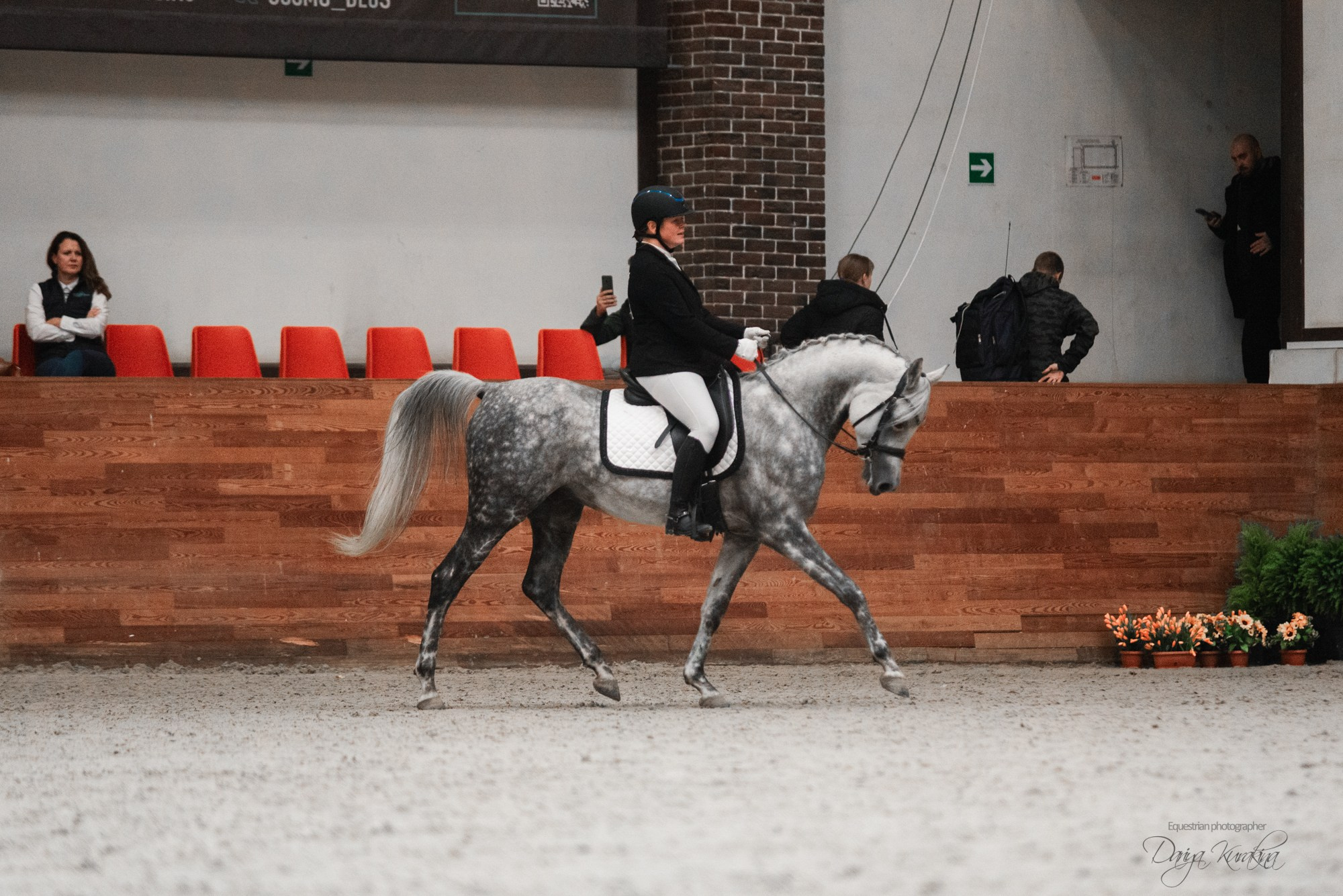 8-я международная выставка Конная Россия. Конный фотограф Куракина Дарья • Фотосессии с лошадьми