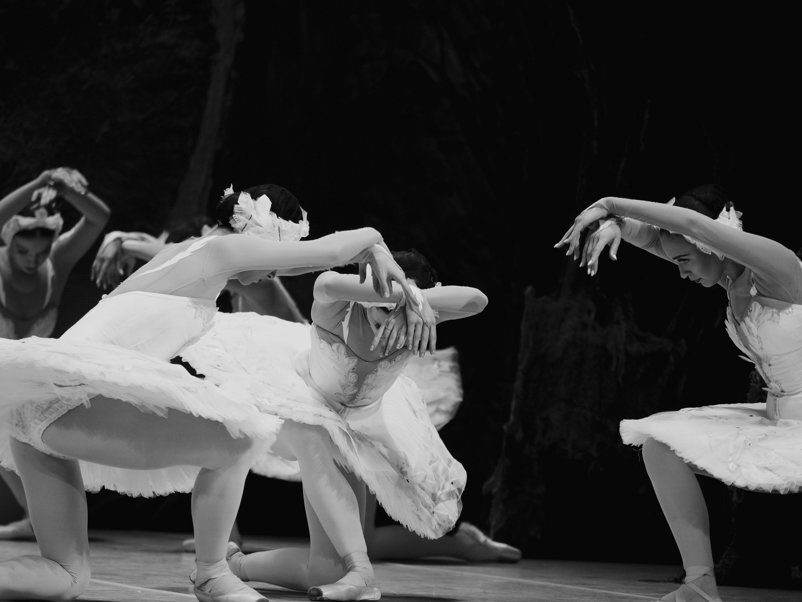 Балет «Лебединое озеро». Маруся Машкова • Фотограф в Москве