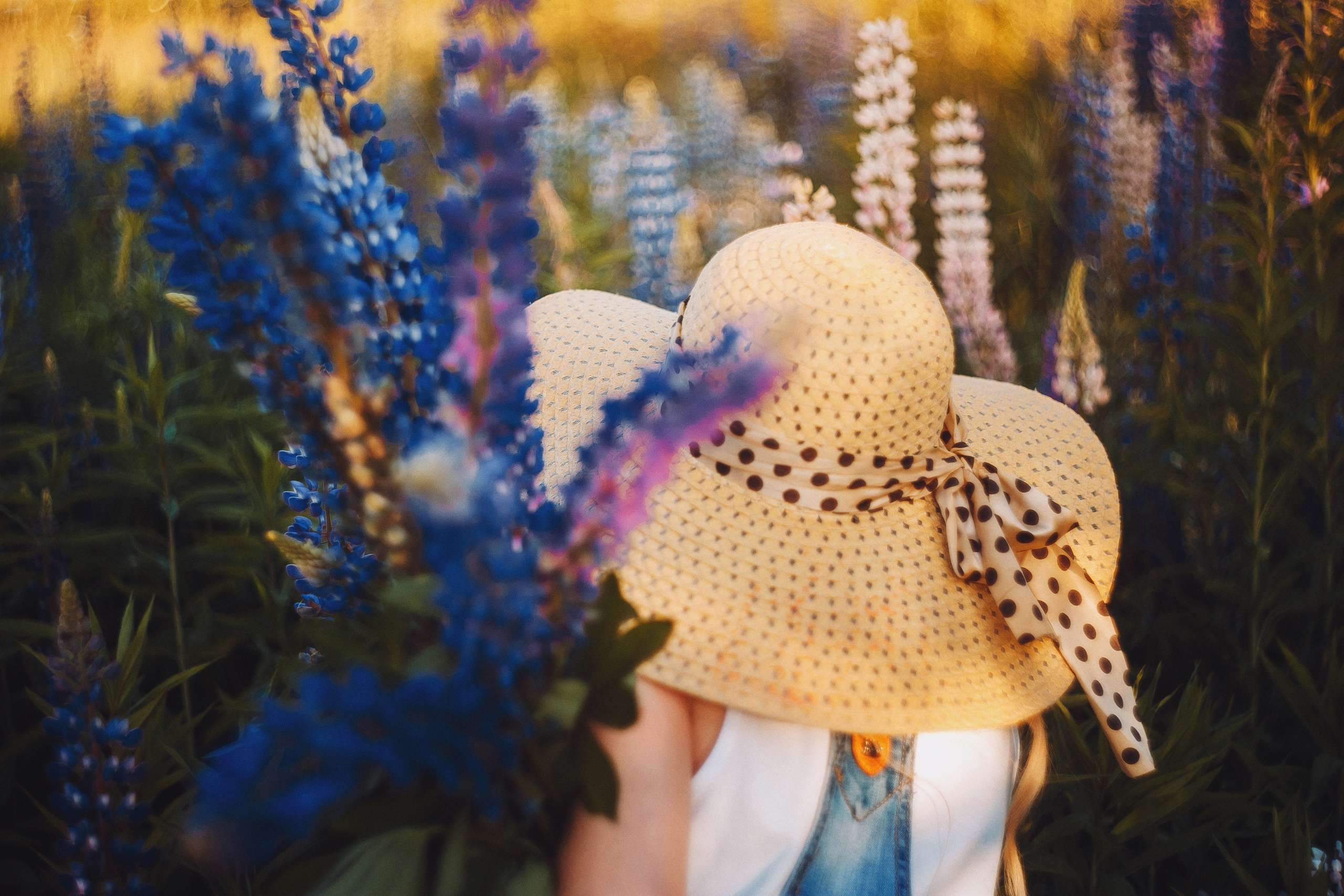 Солнечная Алена в Люпинах. Фотограф Сергей Логинов