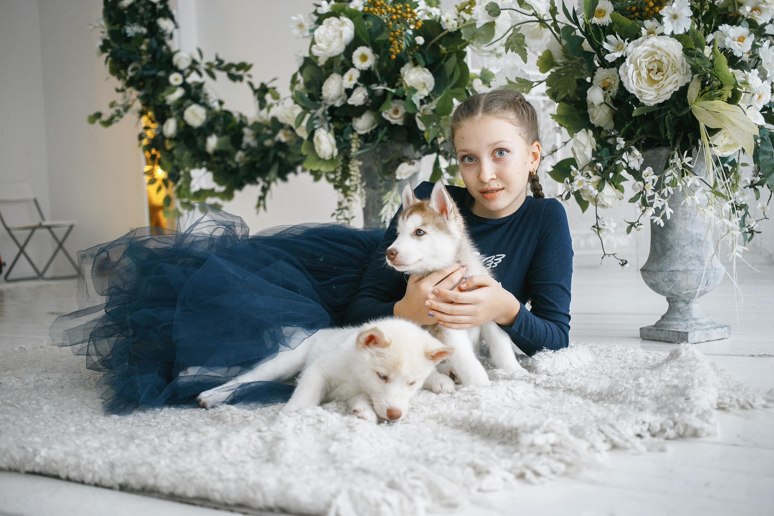 Весенняя фотосессия с щенками Хаски. Фотограф Сергей Логинов