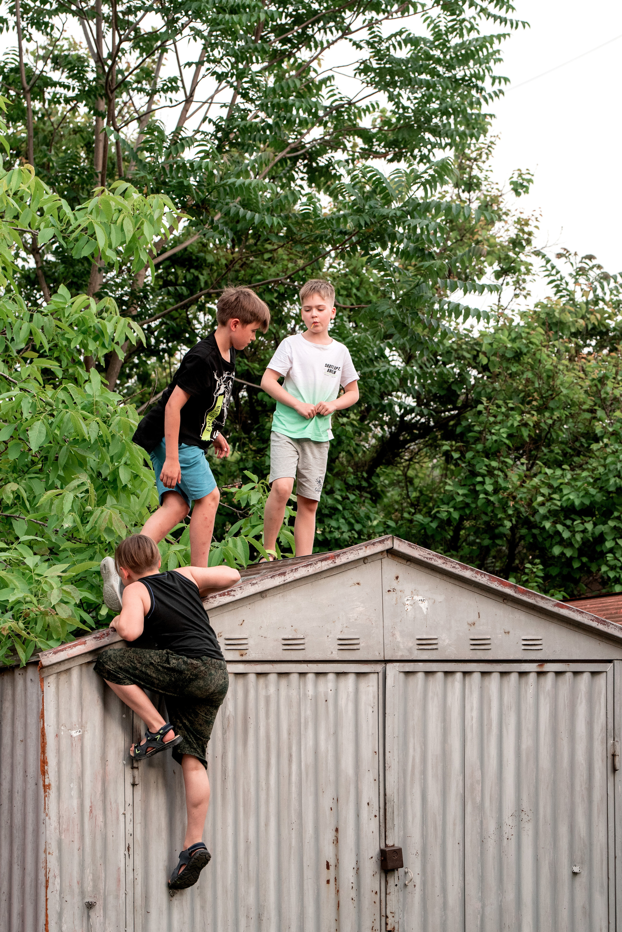 А у нас во дворе. Семейный фотограф в Севастополе Куценко Светлана