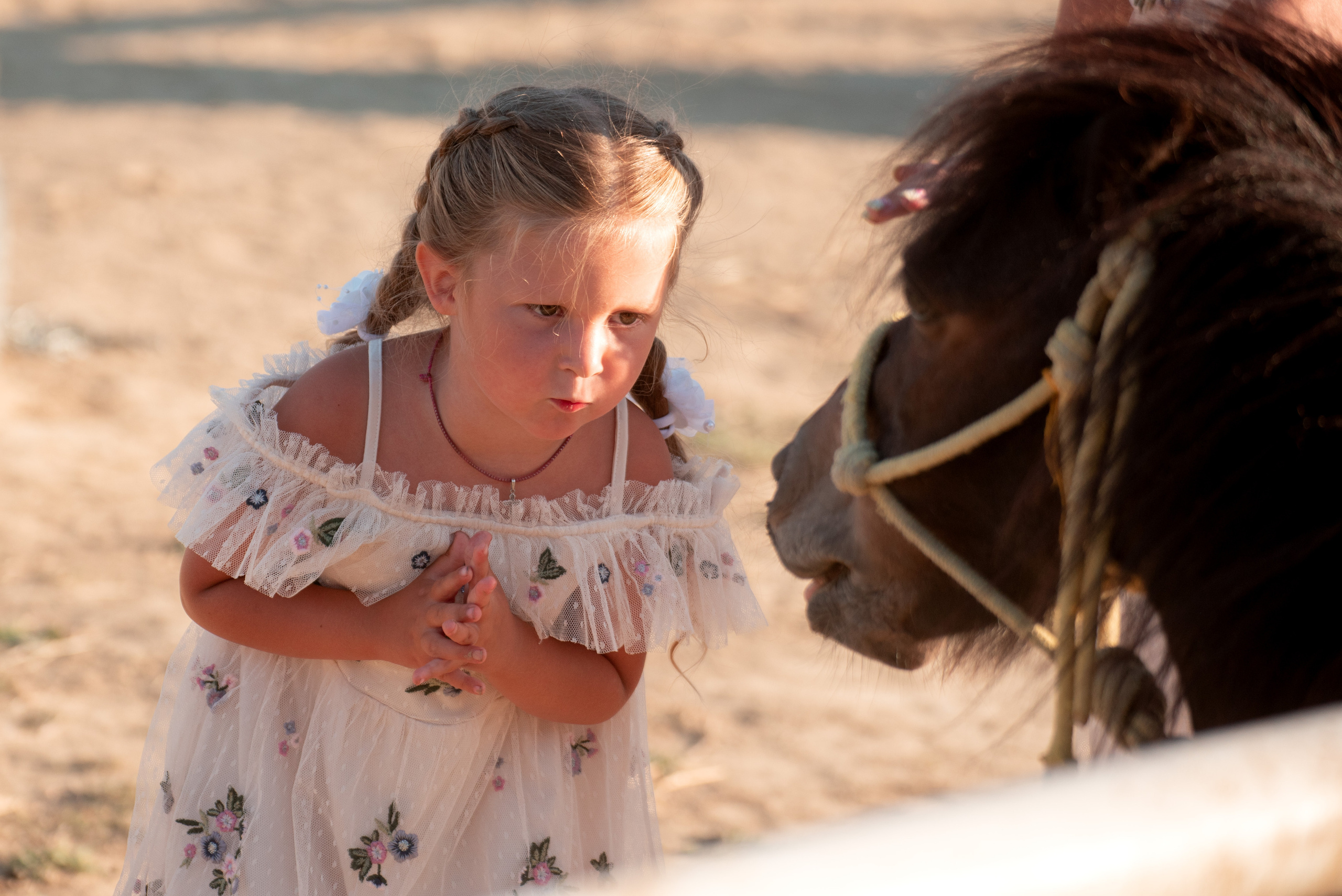 Семейные съемки. Семейный фотограф в Севастополе Куценко Светлана