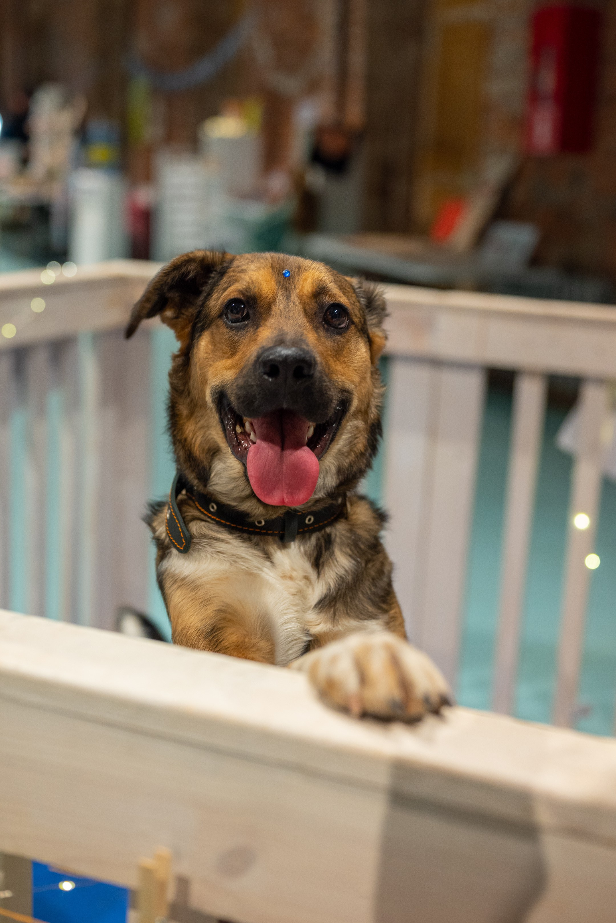 Благотворительный фестиваль «Путь домой». Дарья Медведева