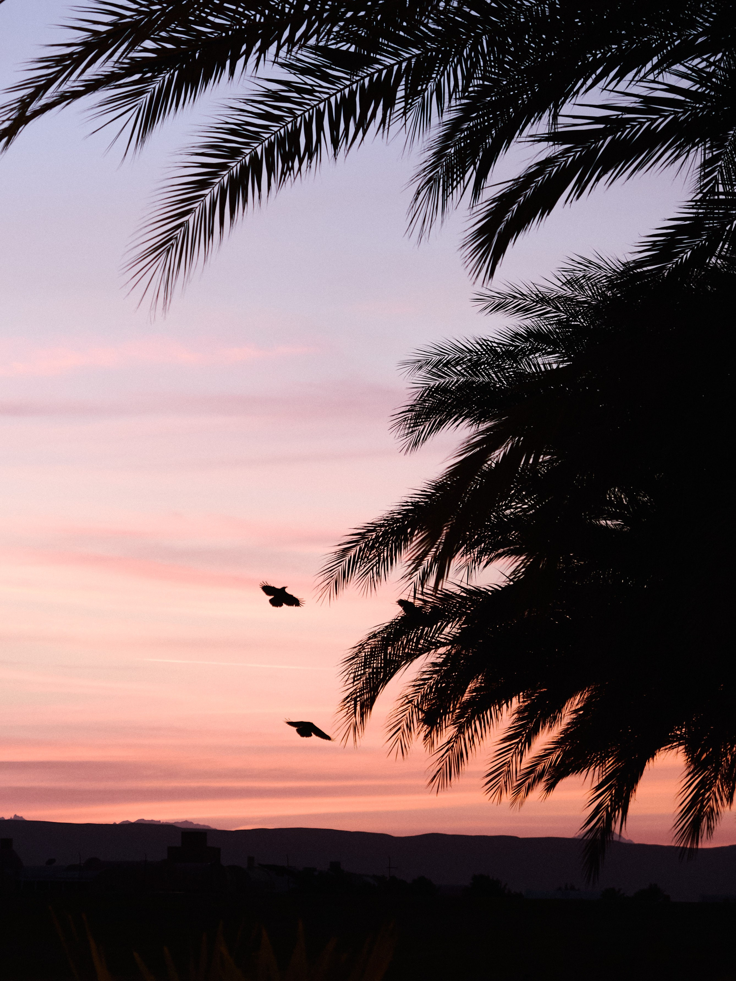 Диптих. Jorgis — фотограф в Хургаде / обучение фотографии