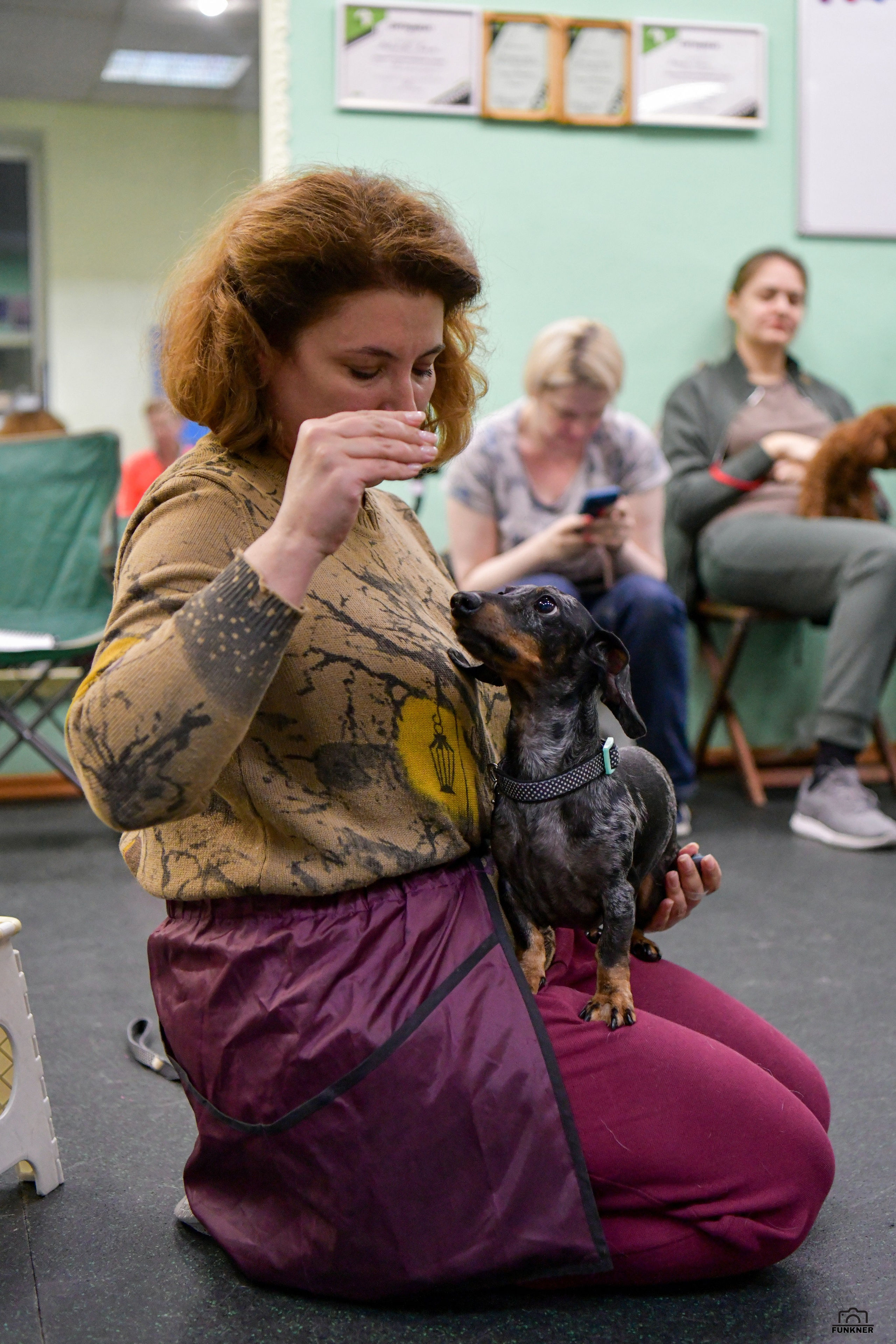 Кинологический клуб «Бодрый хвост». Свой взгляд через объектив