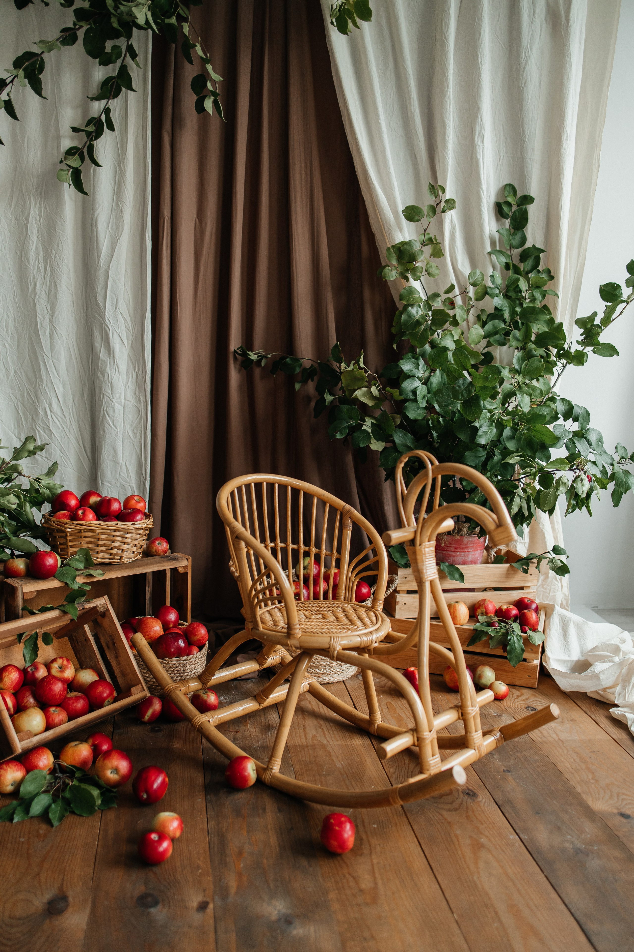 Осенний с кроликом🐇. First-foto.ru