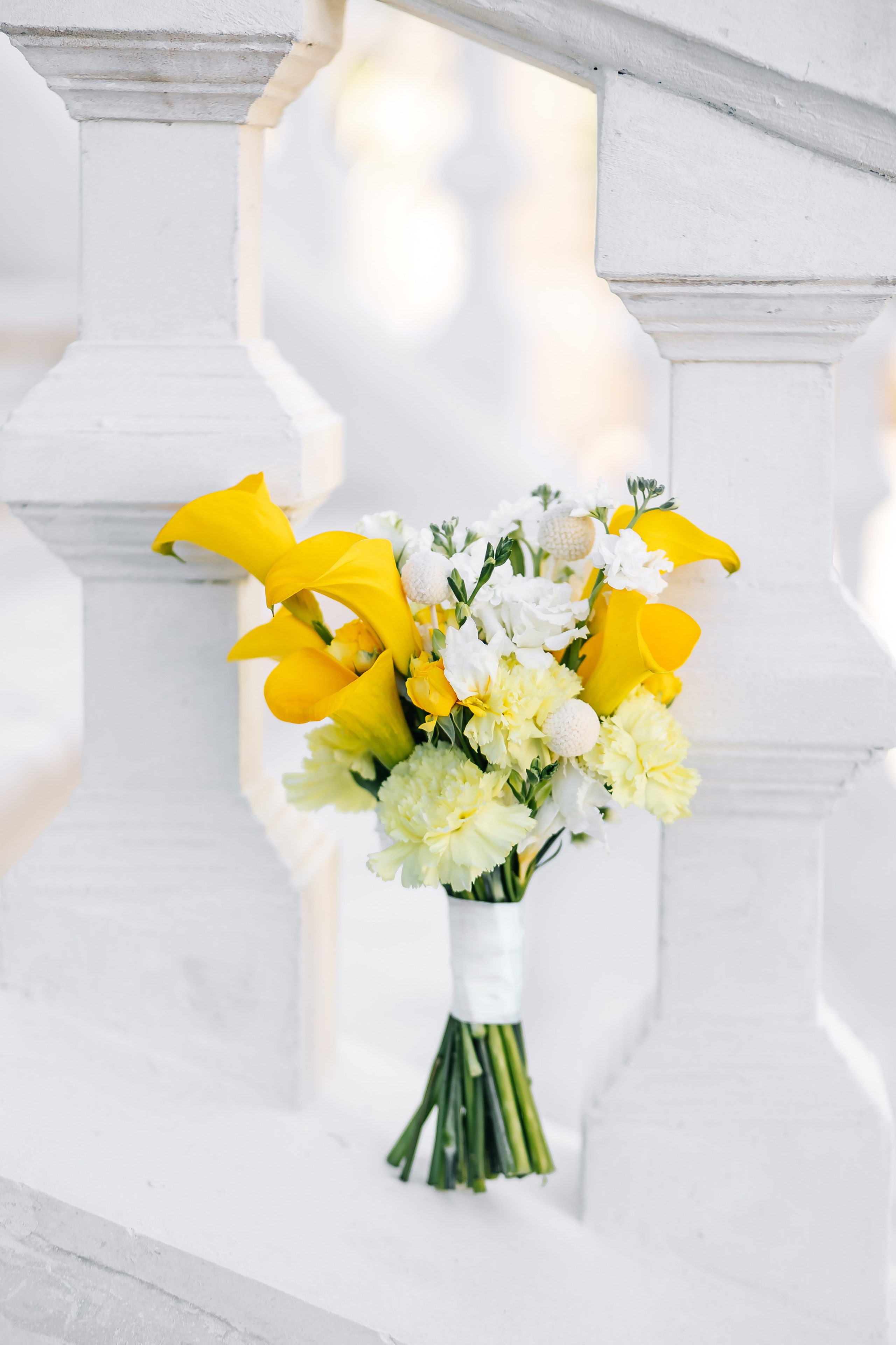 Никита и Анастасия. Свадебный и семейный фотограф в Рязани Саша Крутых