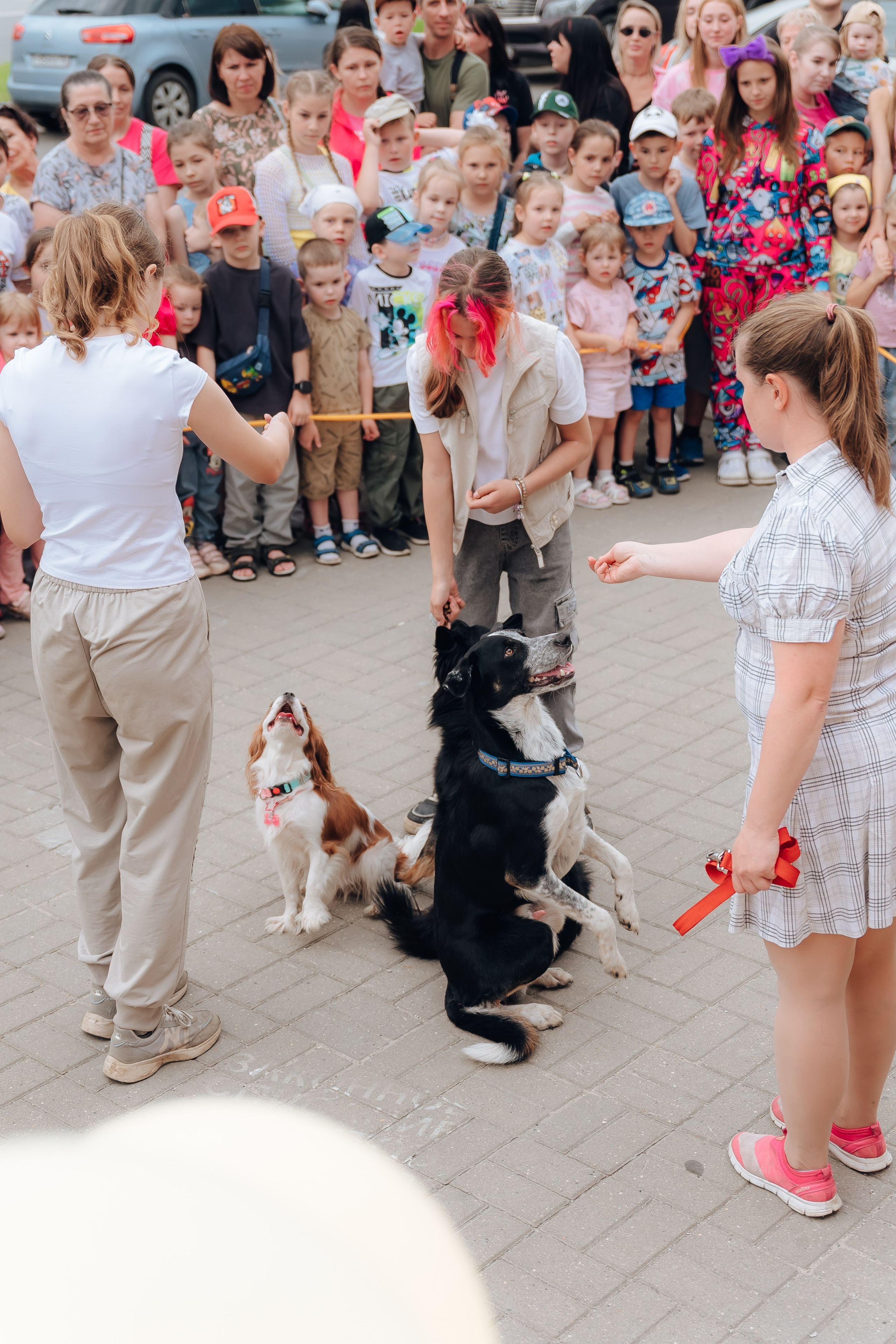 Открытие Мультифокс. Детский и семейный фотограф Катерина Мишина