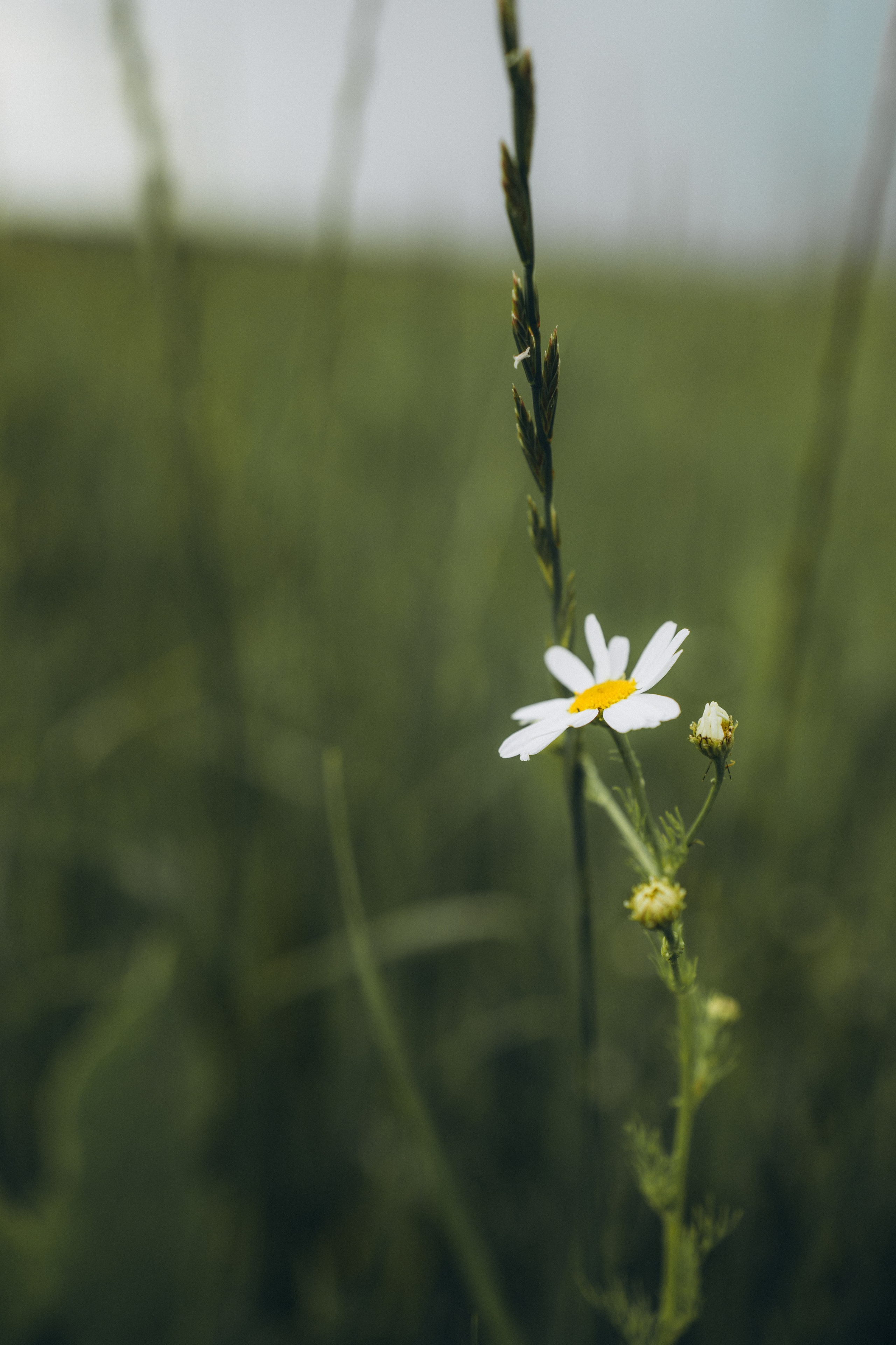Ксюша, Вадим и Кирюша. Фотограф Елена Рябцева