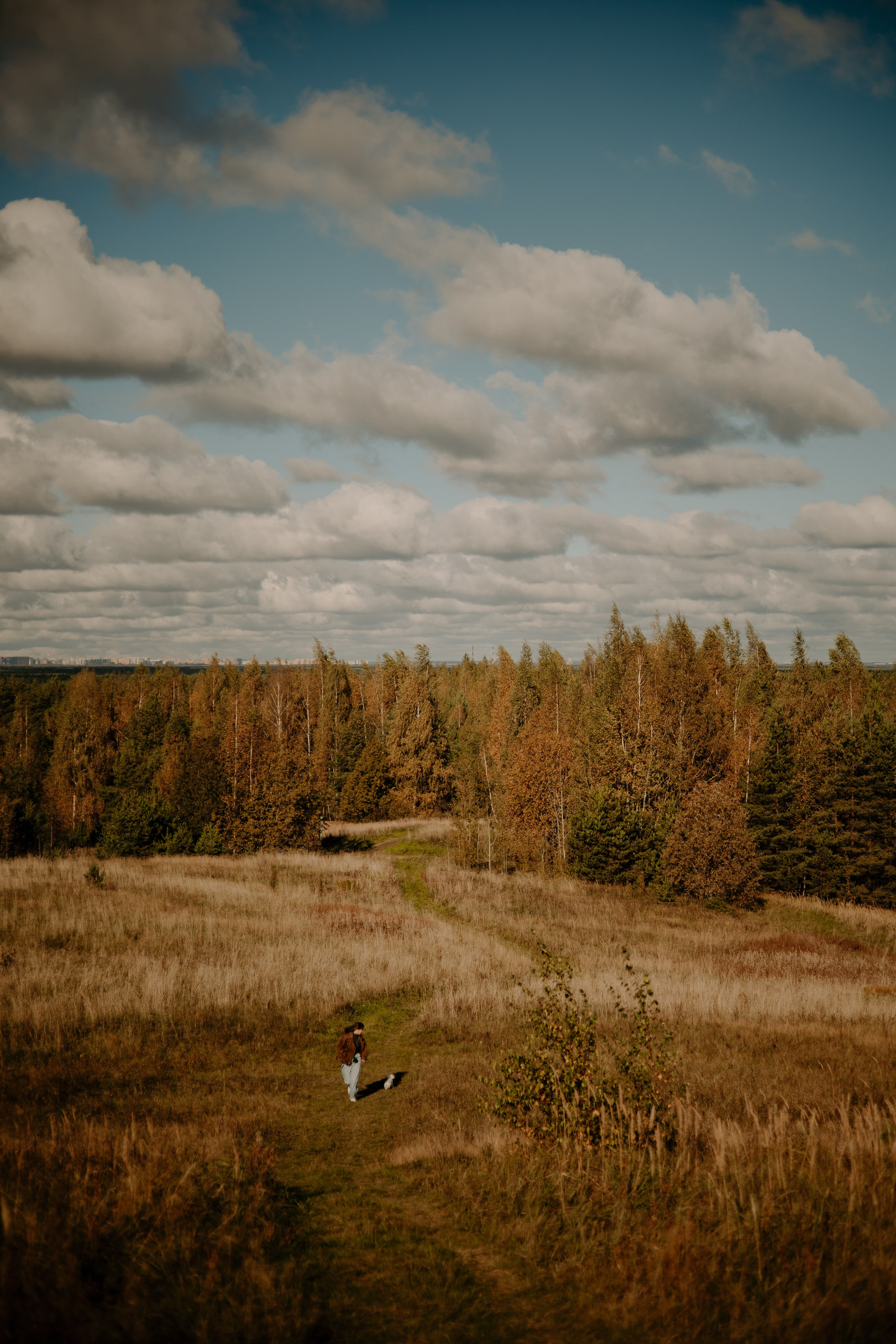 Любовь & Белла. Фотограф — анималист •love-story•|Санкт-Петербург