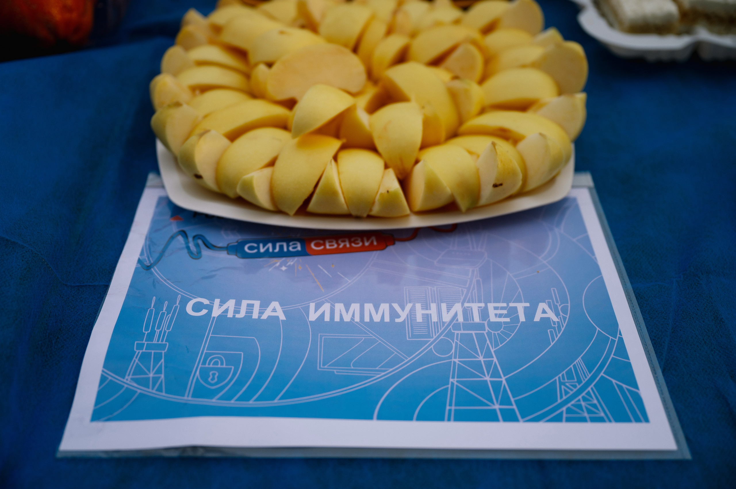 Ростелеком. Ваш фотограф в г. Петропавловске-Камчатском Арина Алексеева