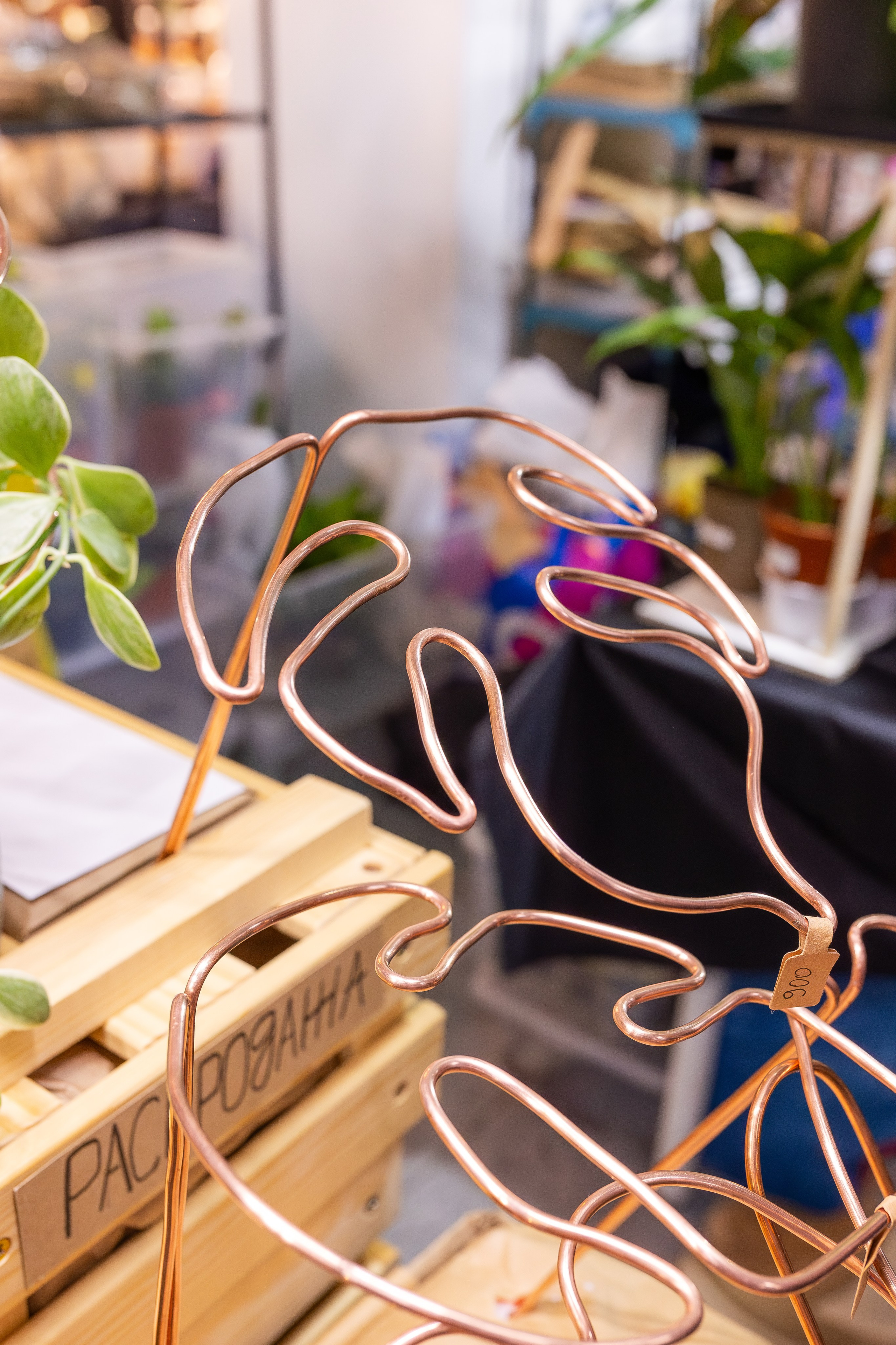 Монстериум апрель 2026. Александра Куликова фотограф, Москва